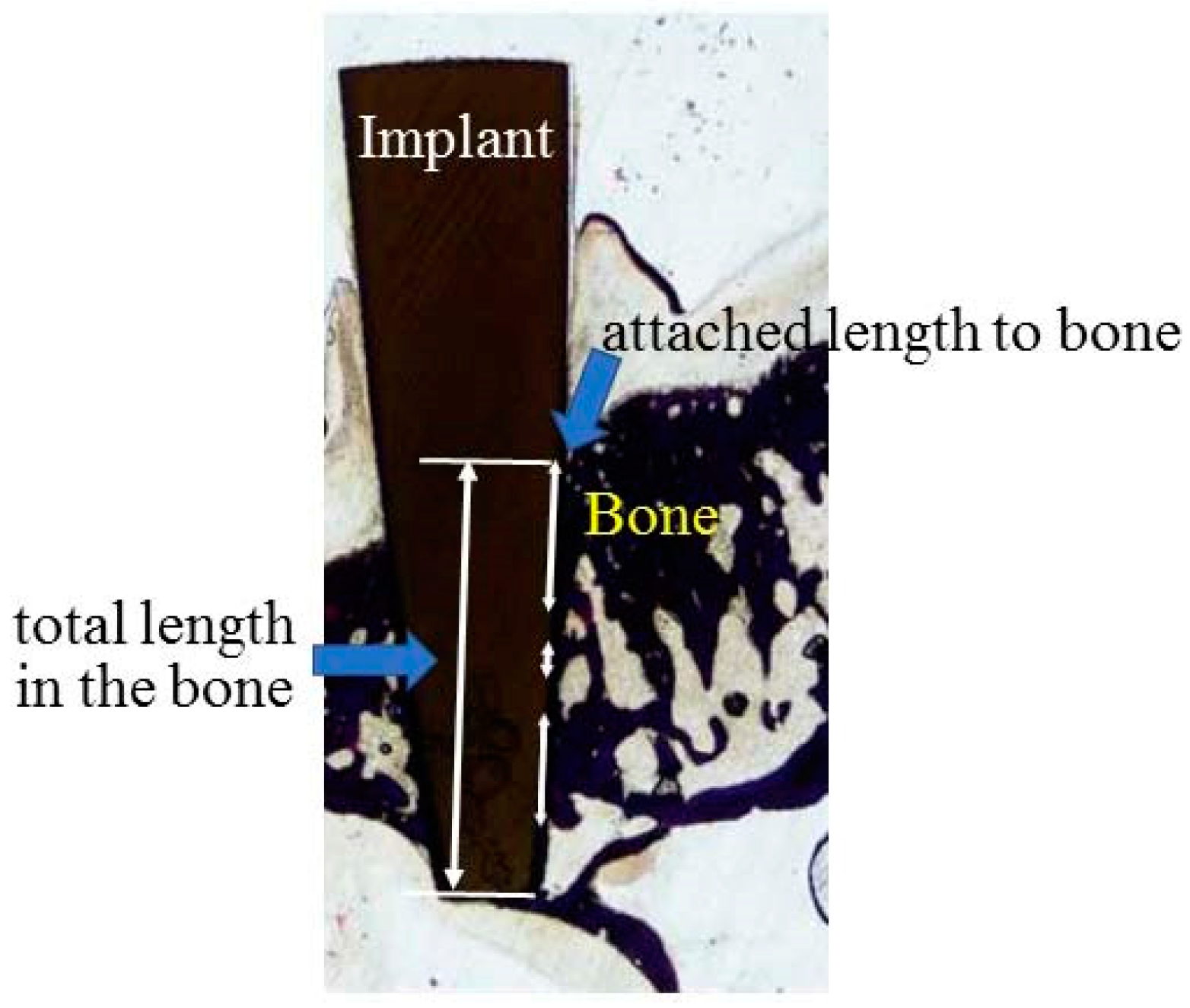 Materials 13 00030 g002 Materials 13 00030 g002