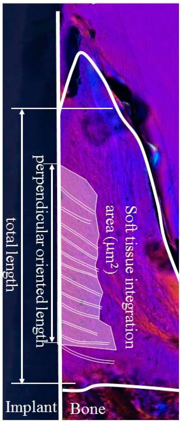 Materials 13 00030 g003 Materials 13 00030 g003