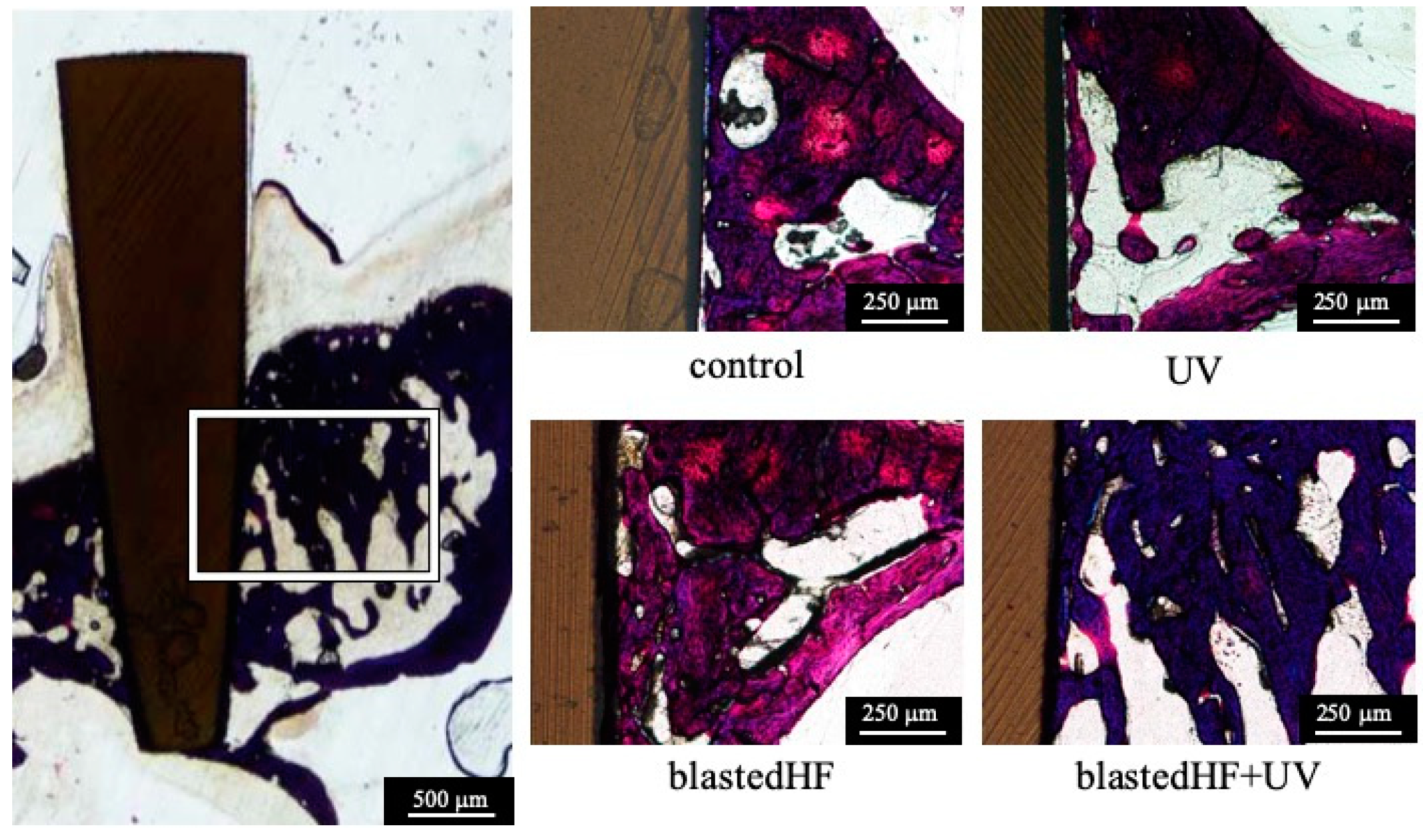 Materials 13 00030 g007 Materials 13 00030 g007