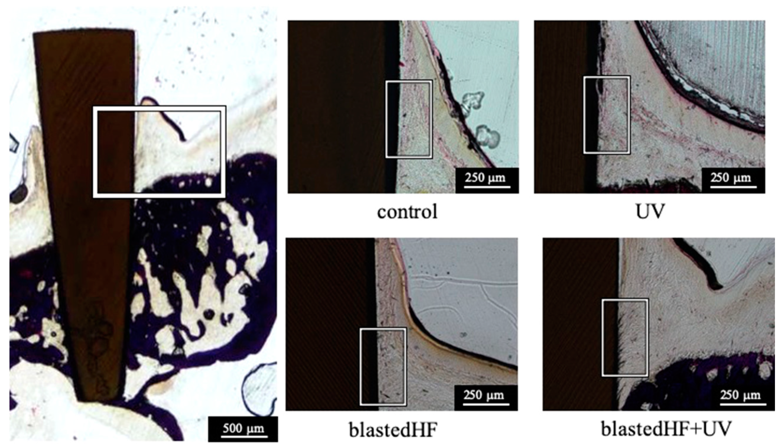 Materials 13 00030 g008 Materials 13 00030 g008