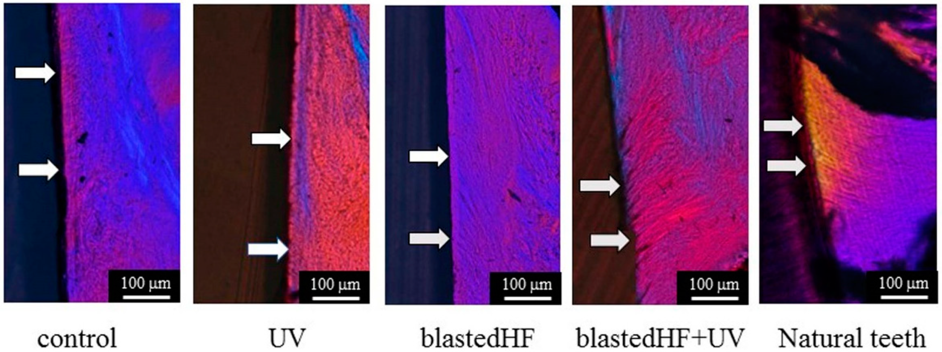 Materials 13 00030 g009 Materials 13 00030 g009