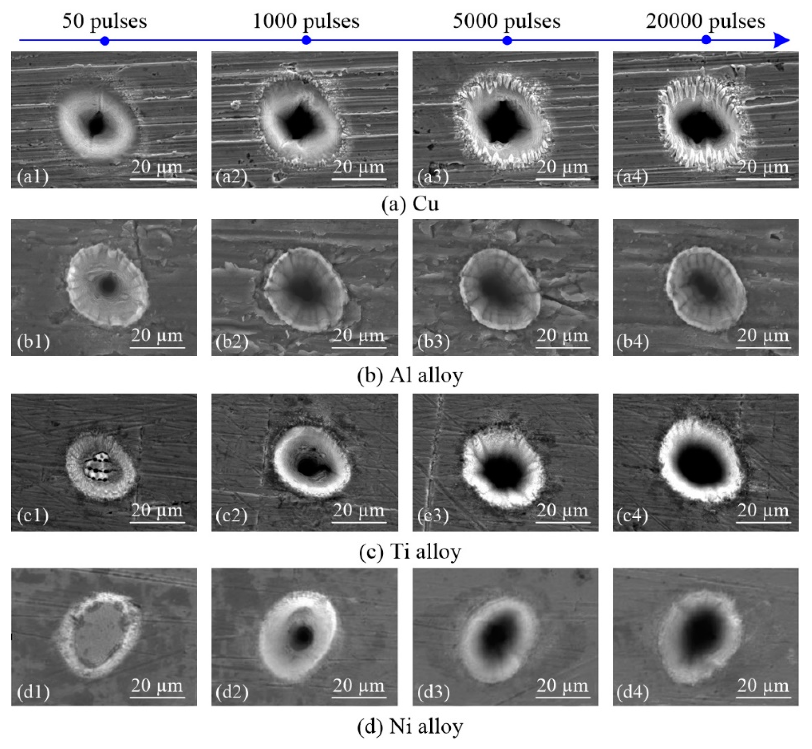 Materials 13 00031 g005 Materials 13 00031 g005