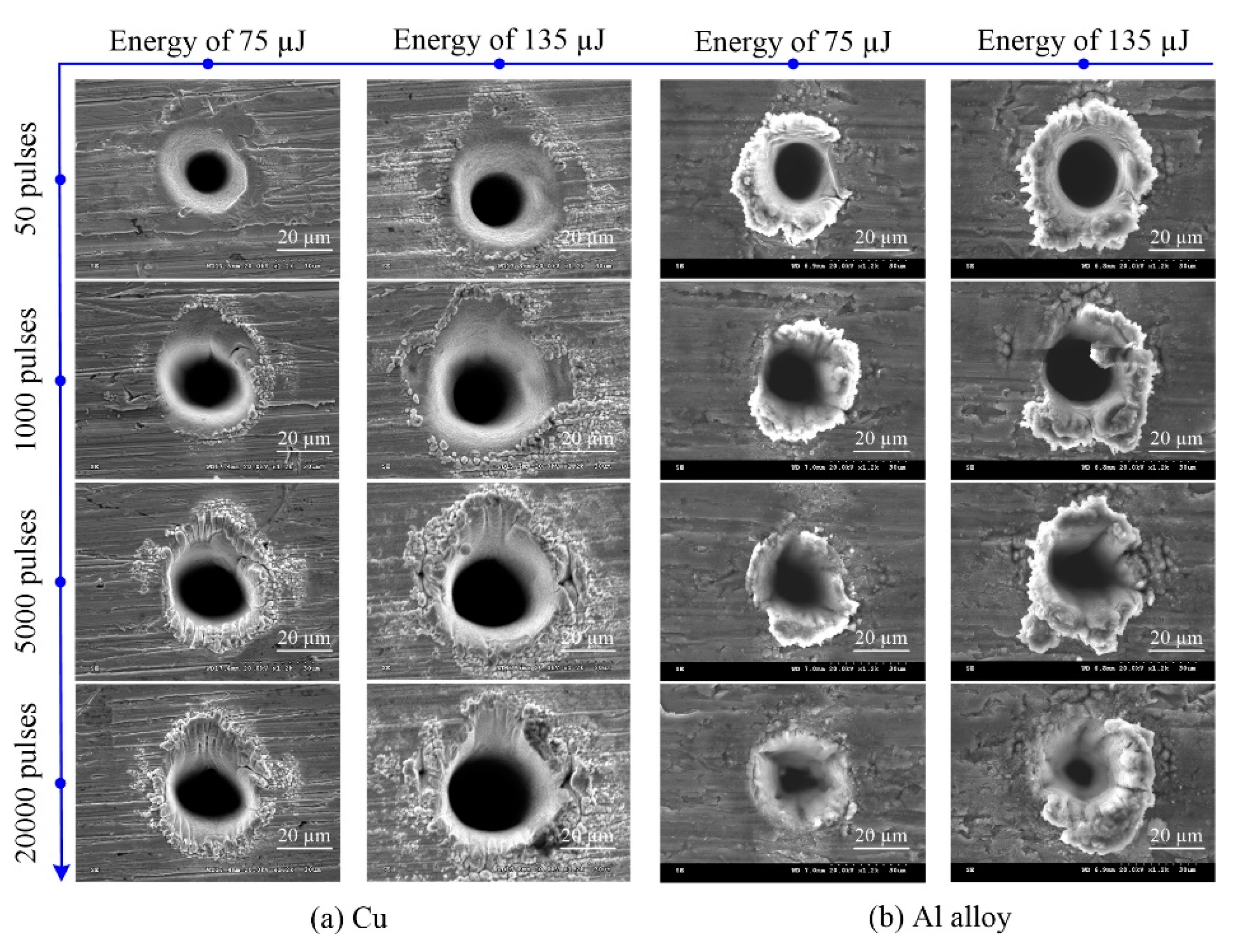 Materials 13 00031 g006a Materials 13 00031 g006a