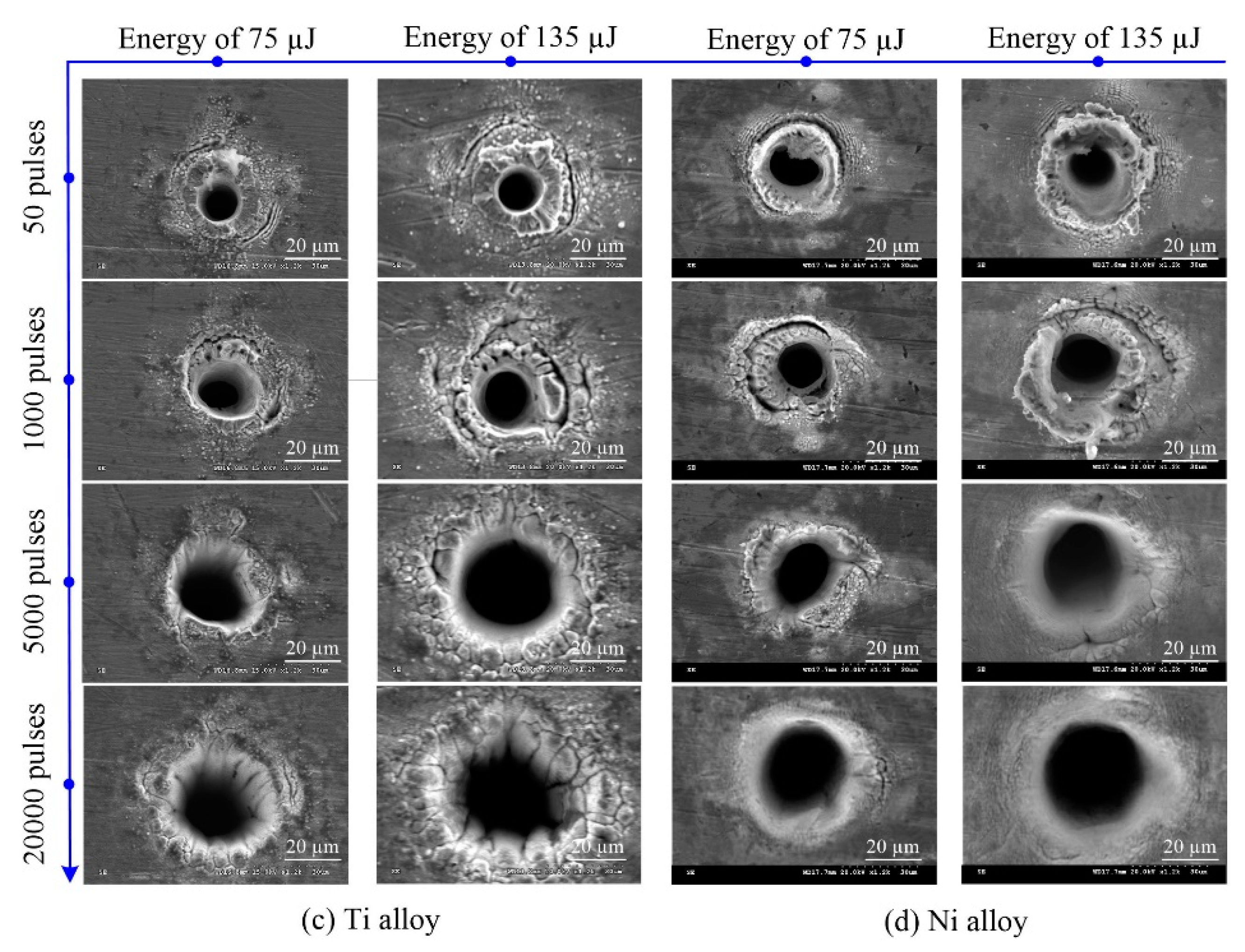 Materials 13 00031 g006b Materials 13 00031 g006b
