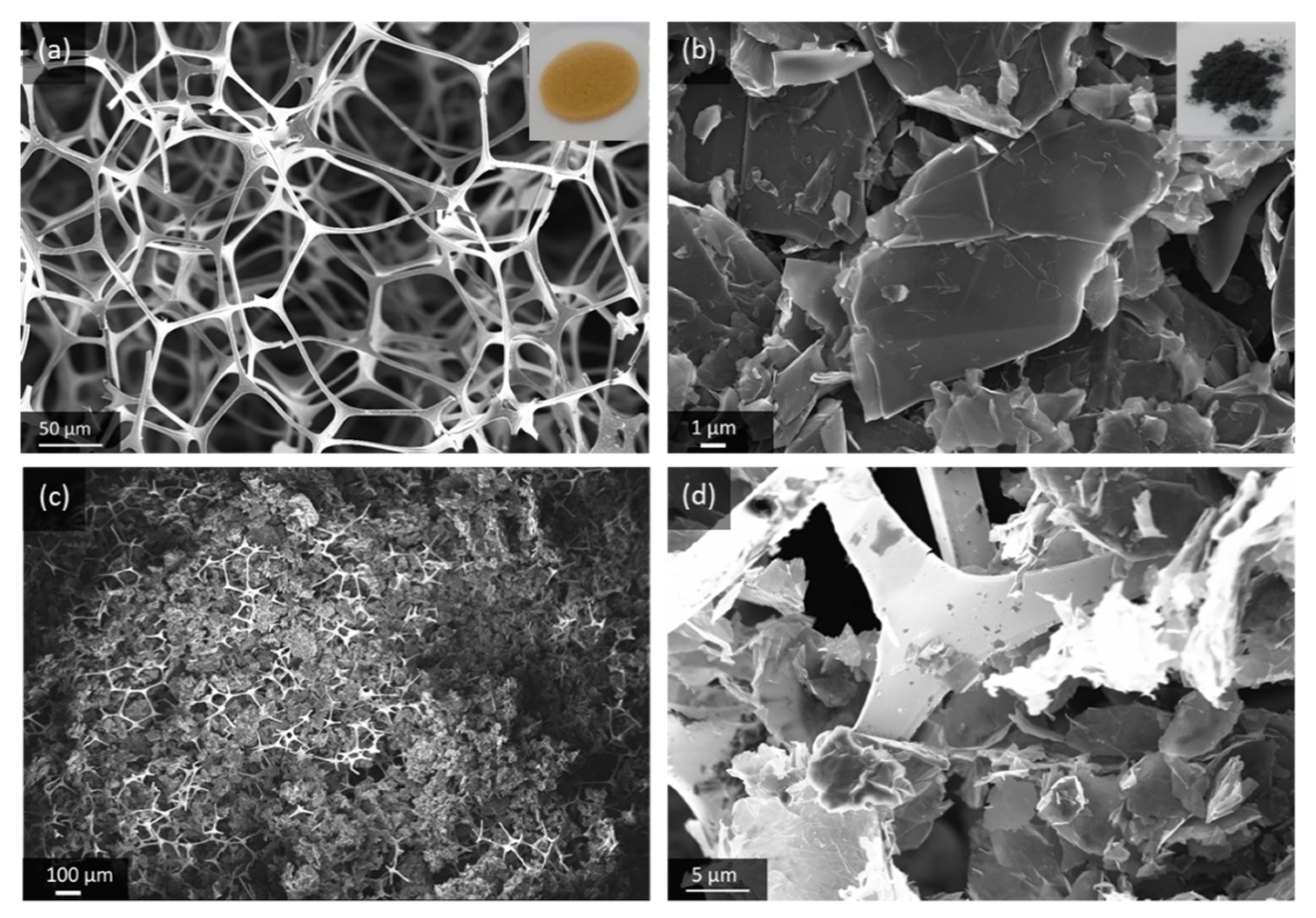 Materials 13 00043 g001