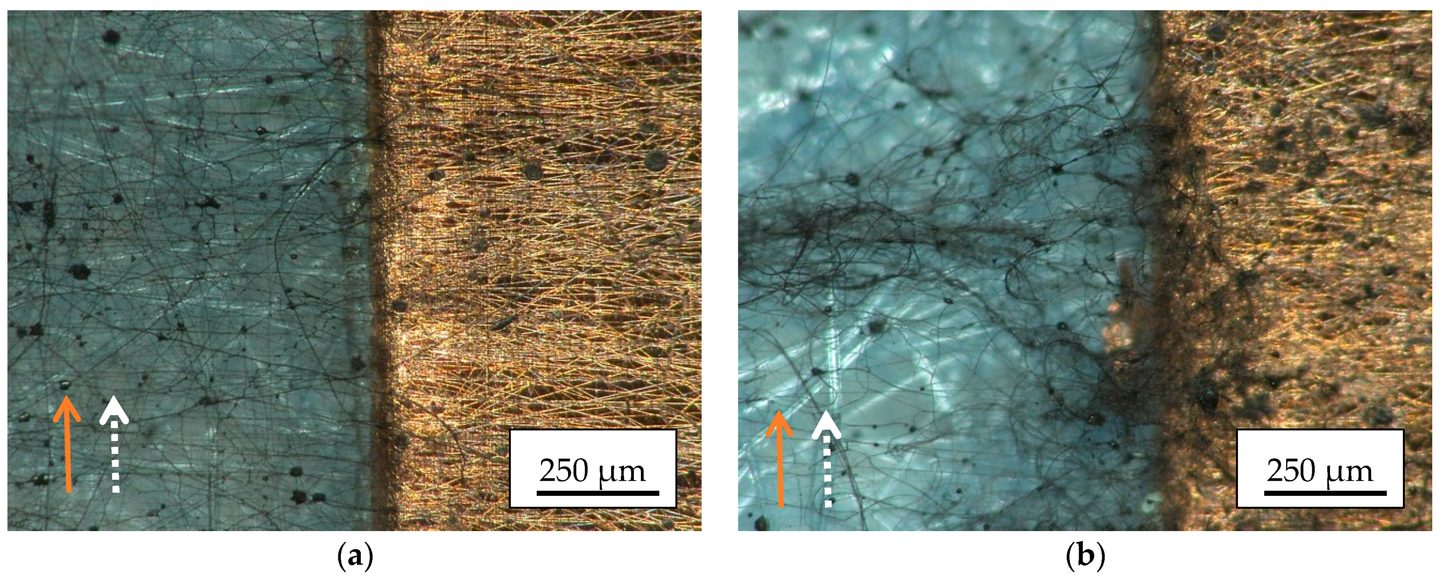 Materials 13 00047 g007