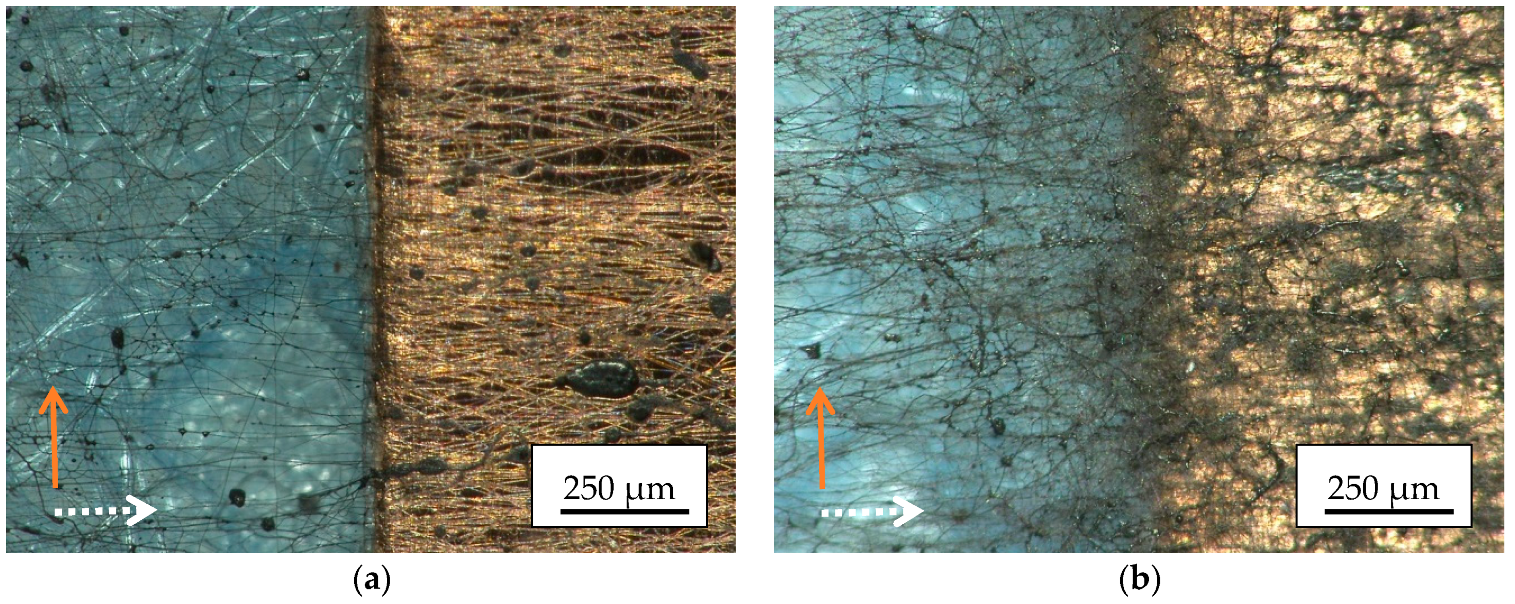 Materials 13 00047 g008