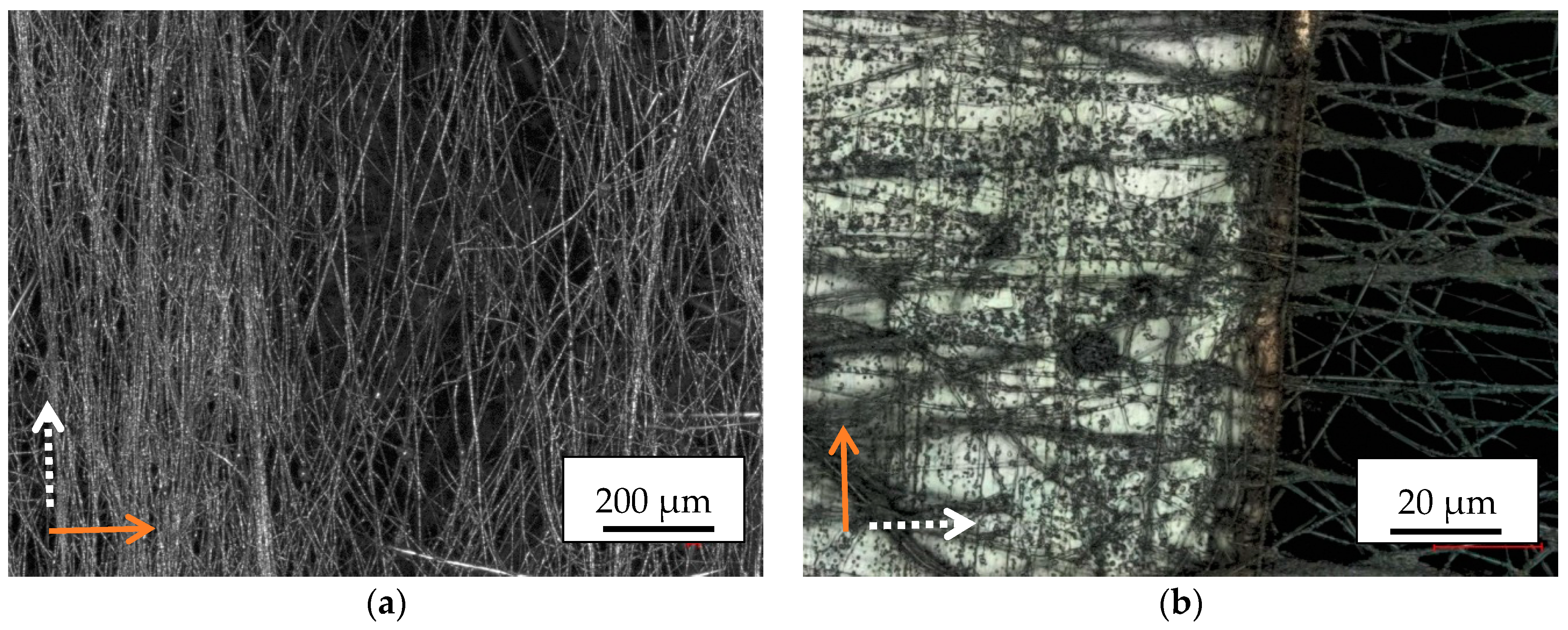 Materials 13 00047 g009