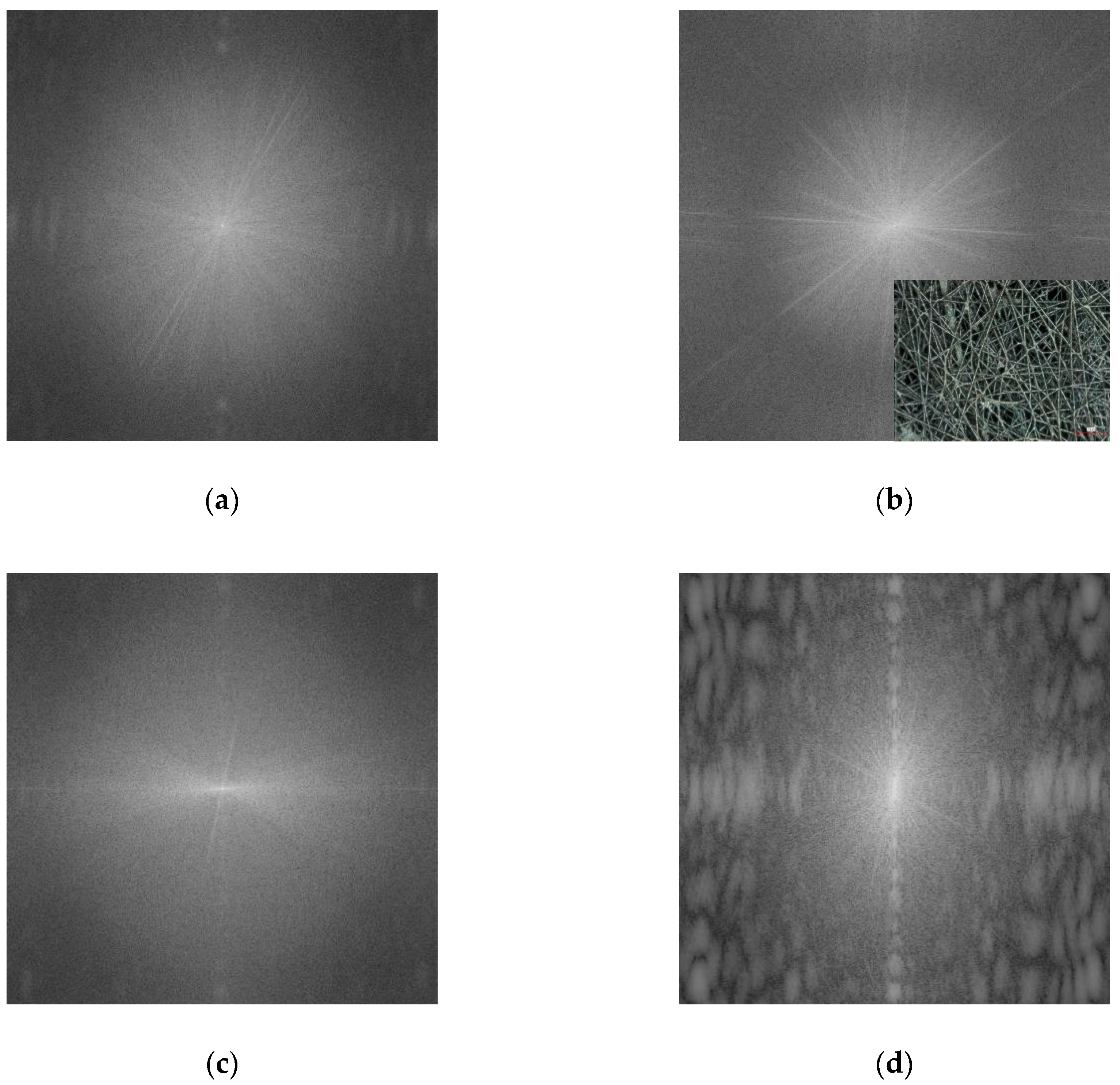 Materials 13 00047 g010