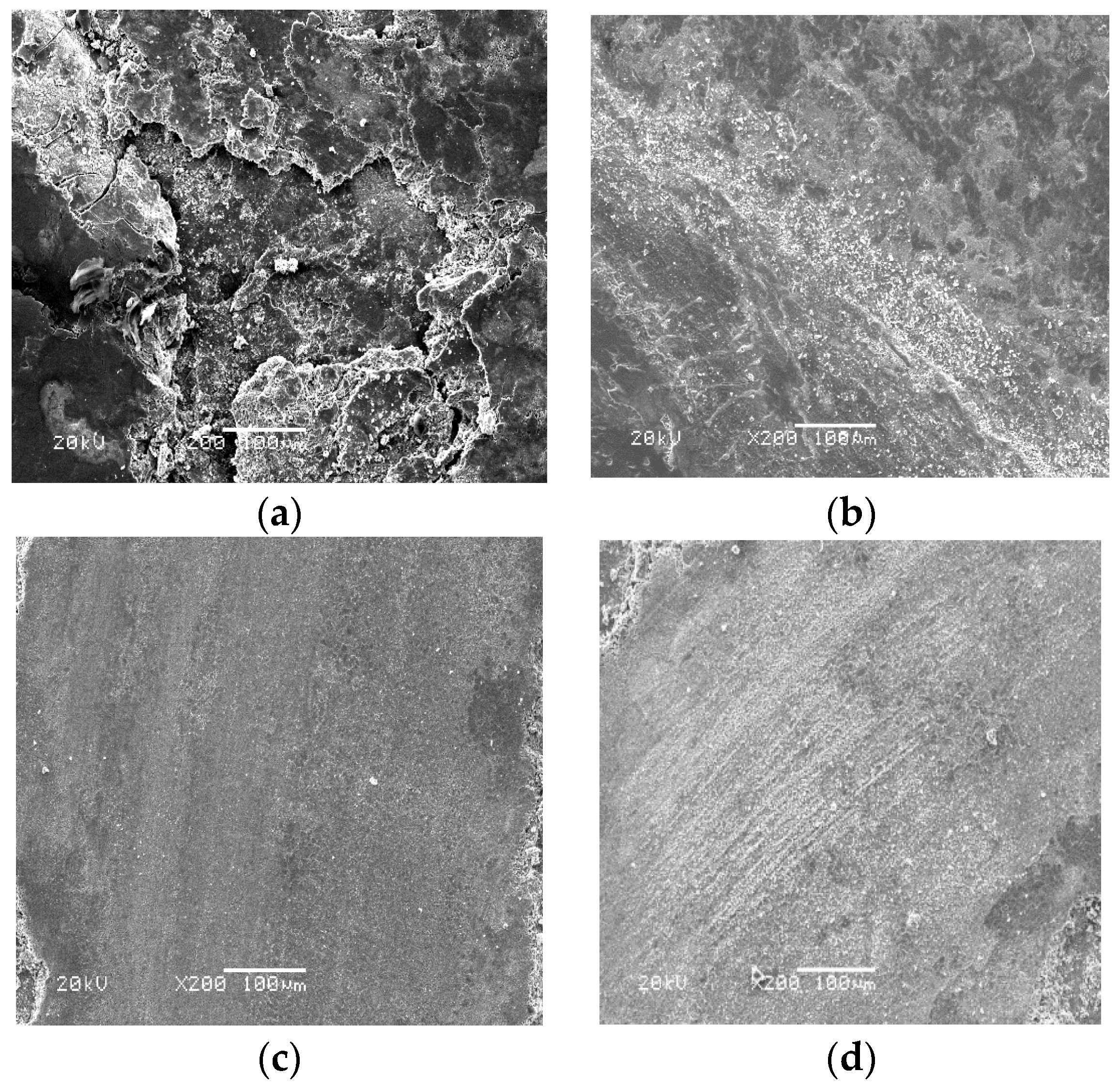 Materials 13 00051 g009