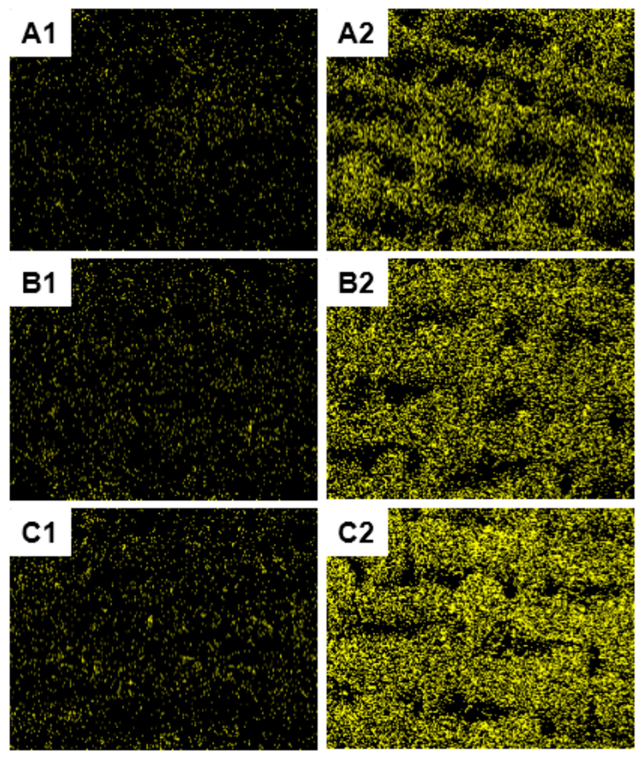 Materials 13 00054 g014
