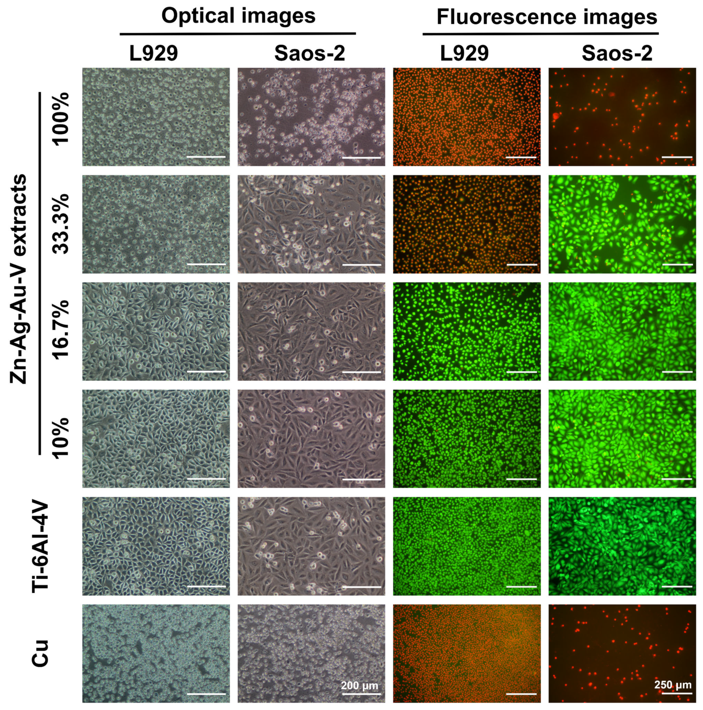 Materials 13 00056 g007 Materials 13 00056 g007