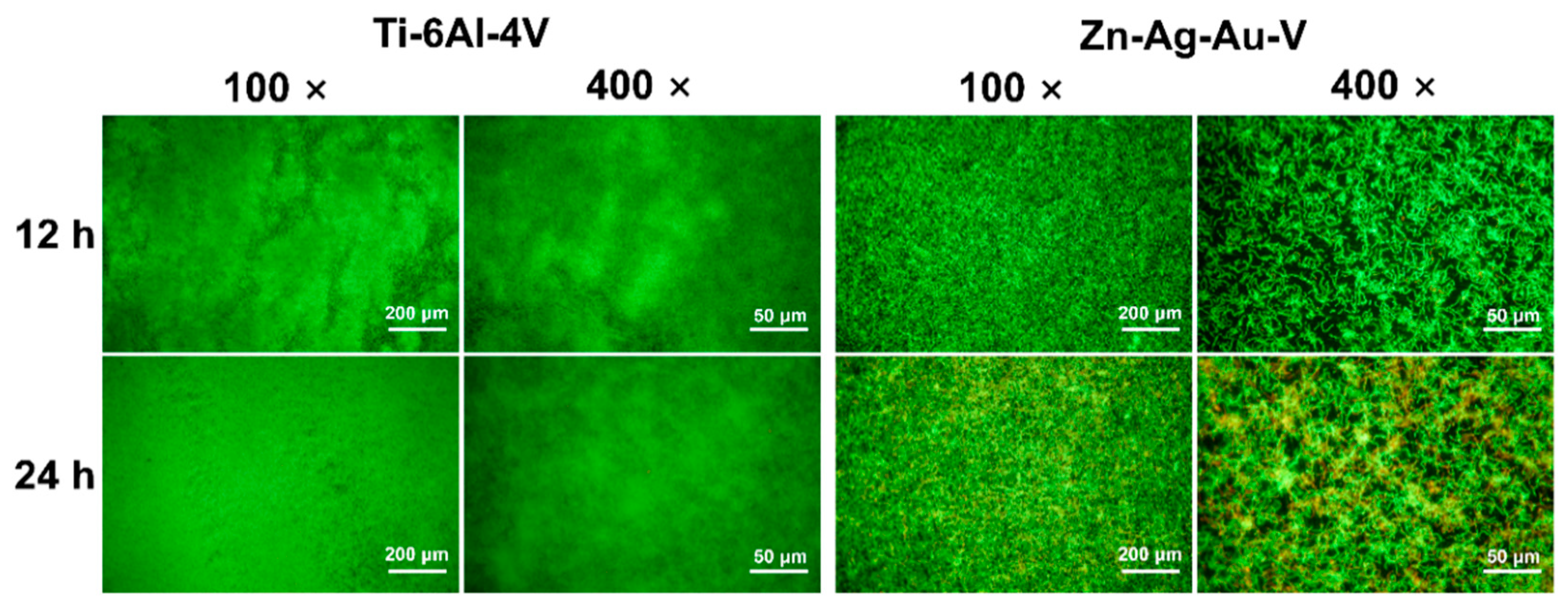 Materials 13 00056 g009 Materials 13 00056 g009