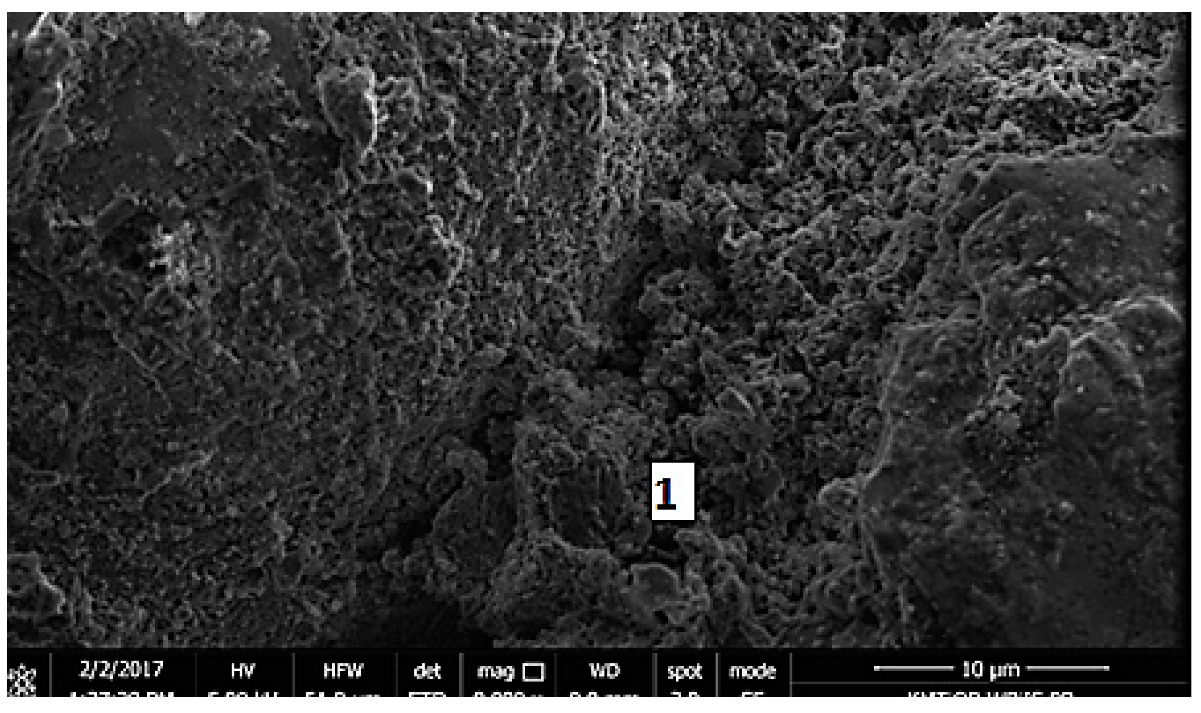 Materials 13 00064 g012