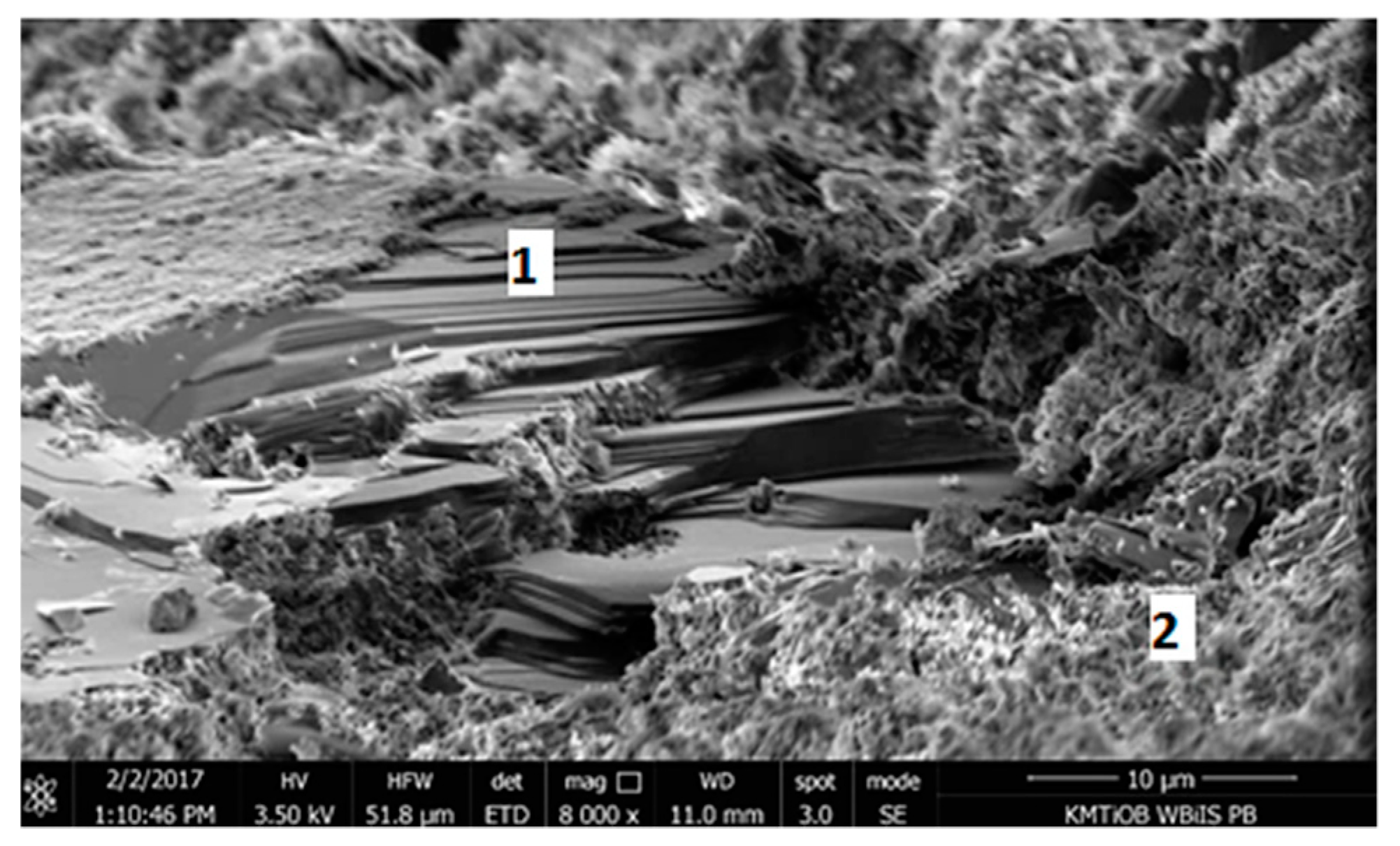 Materials 13 00064 g014