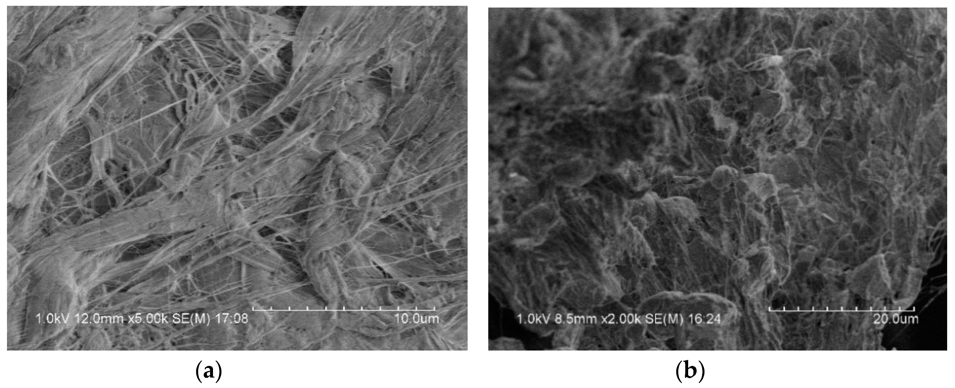 Materials 13 00066 g003 Materials 13 00066 g003