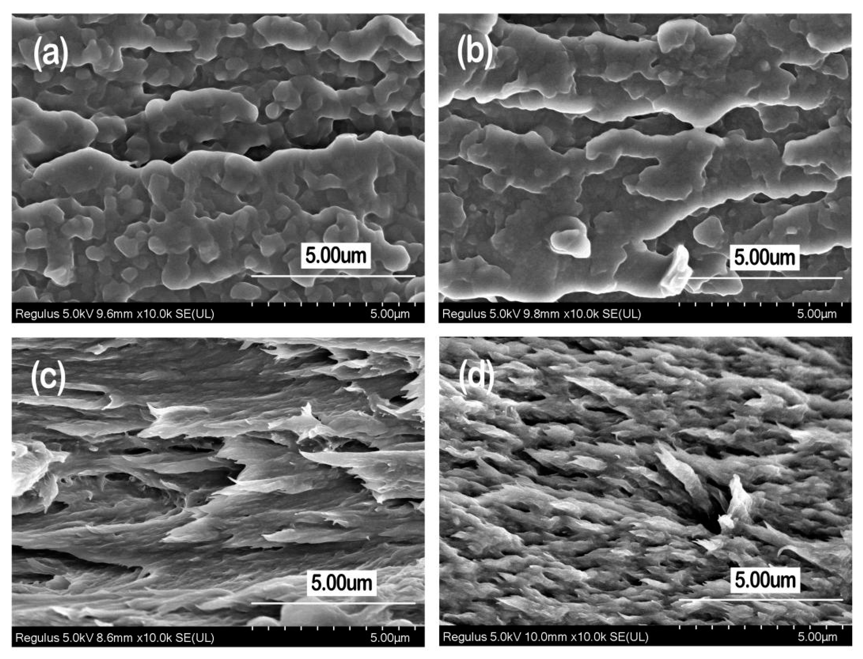 Materials 13 00067 g010 Materials 13 00067 g010