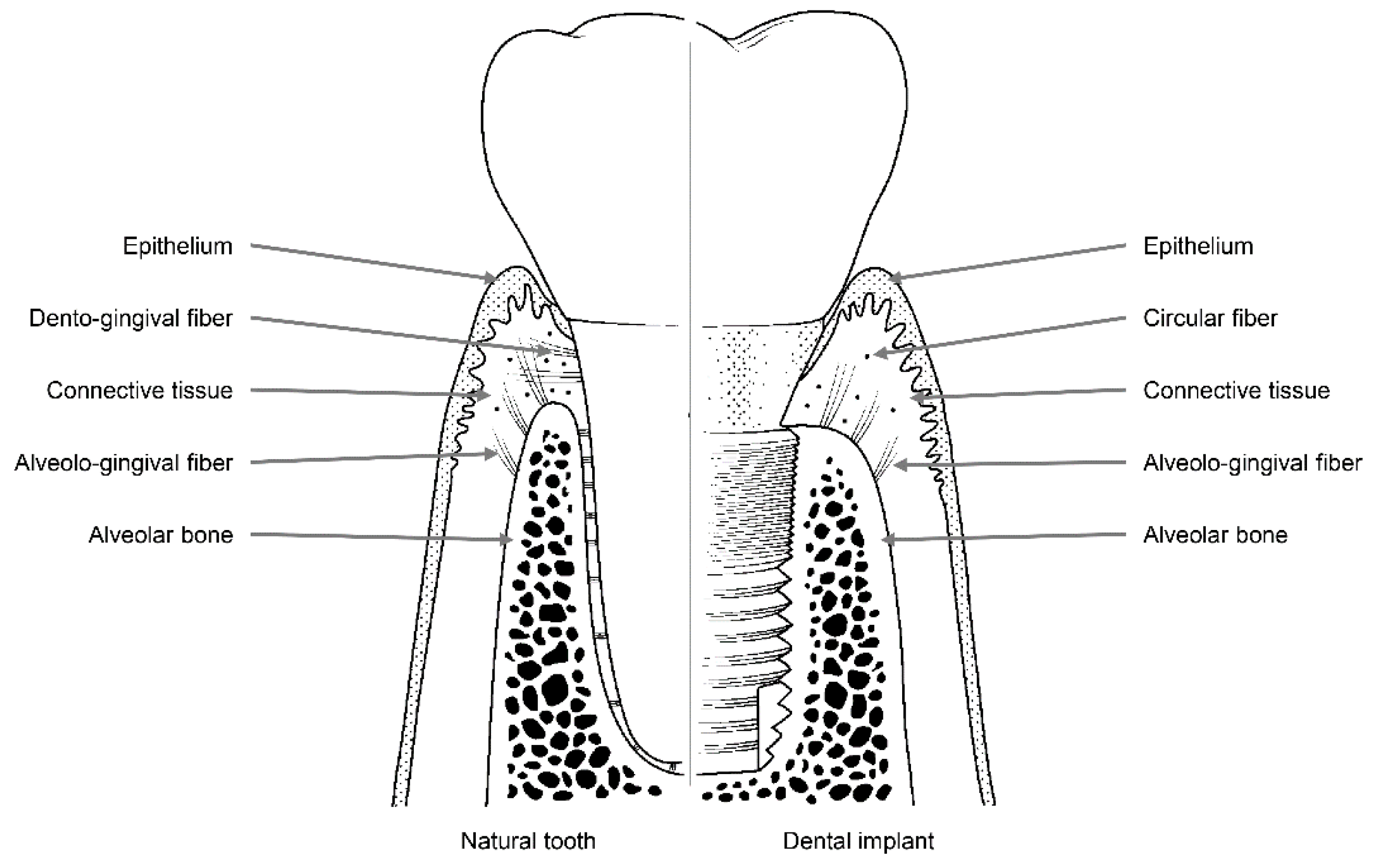 Materials 13 00072 g002