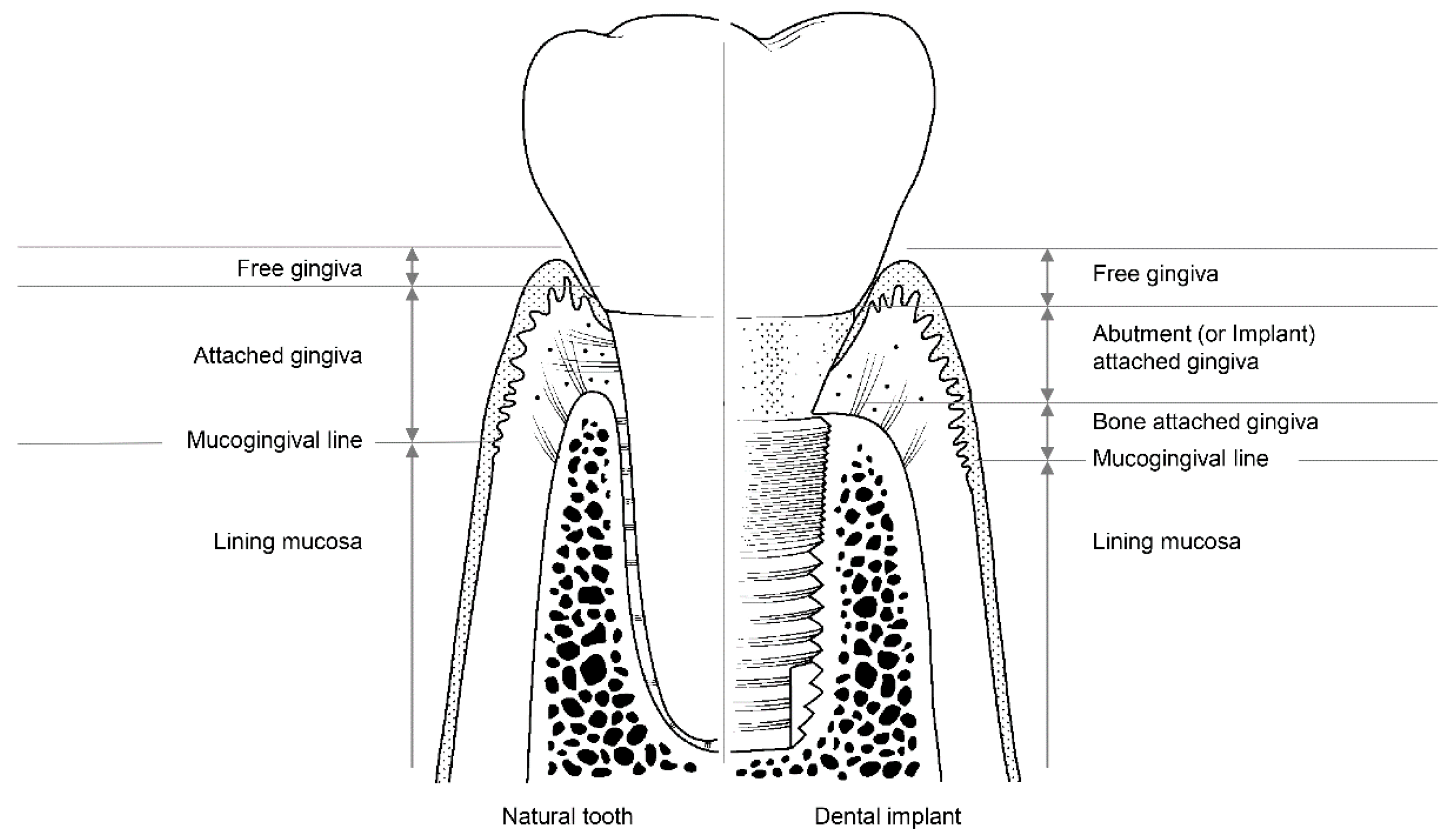 Materials 13 00072 g003