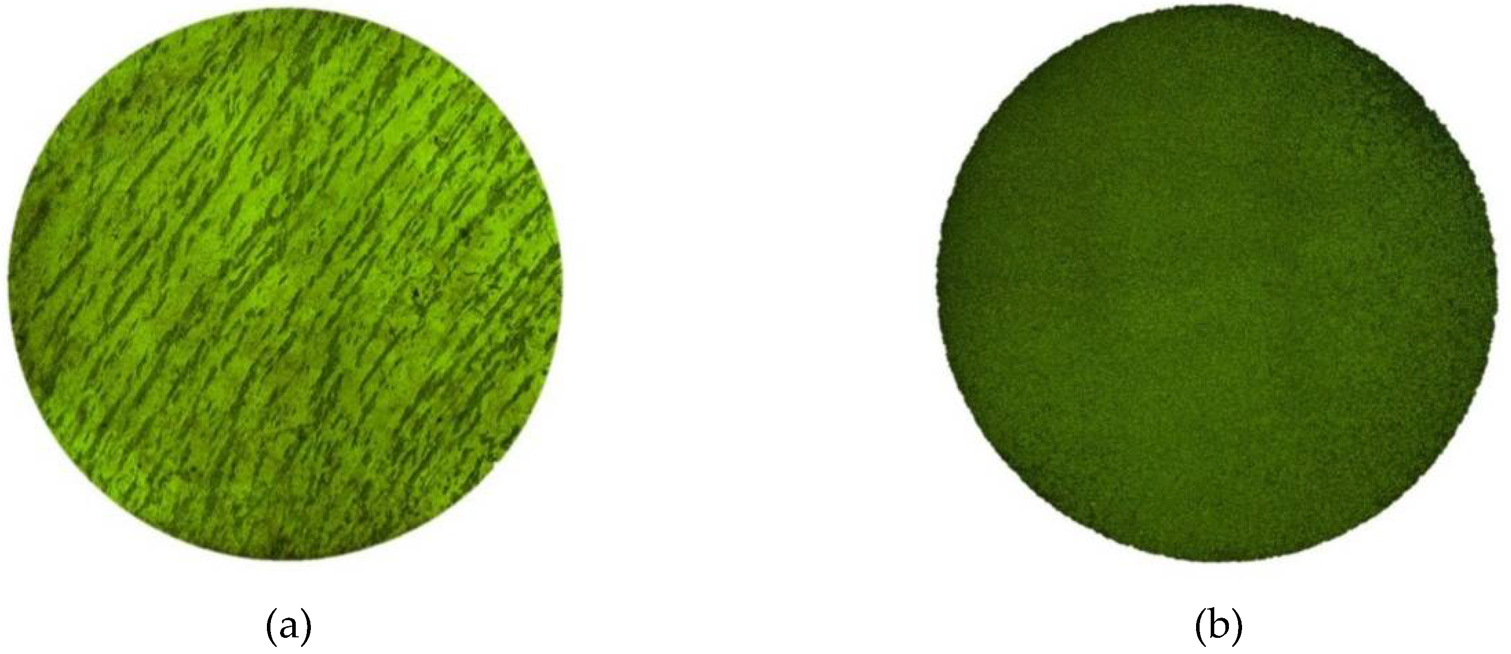 Materials 13 00076 g001