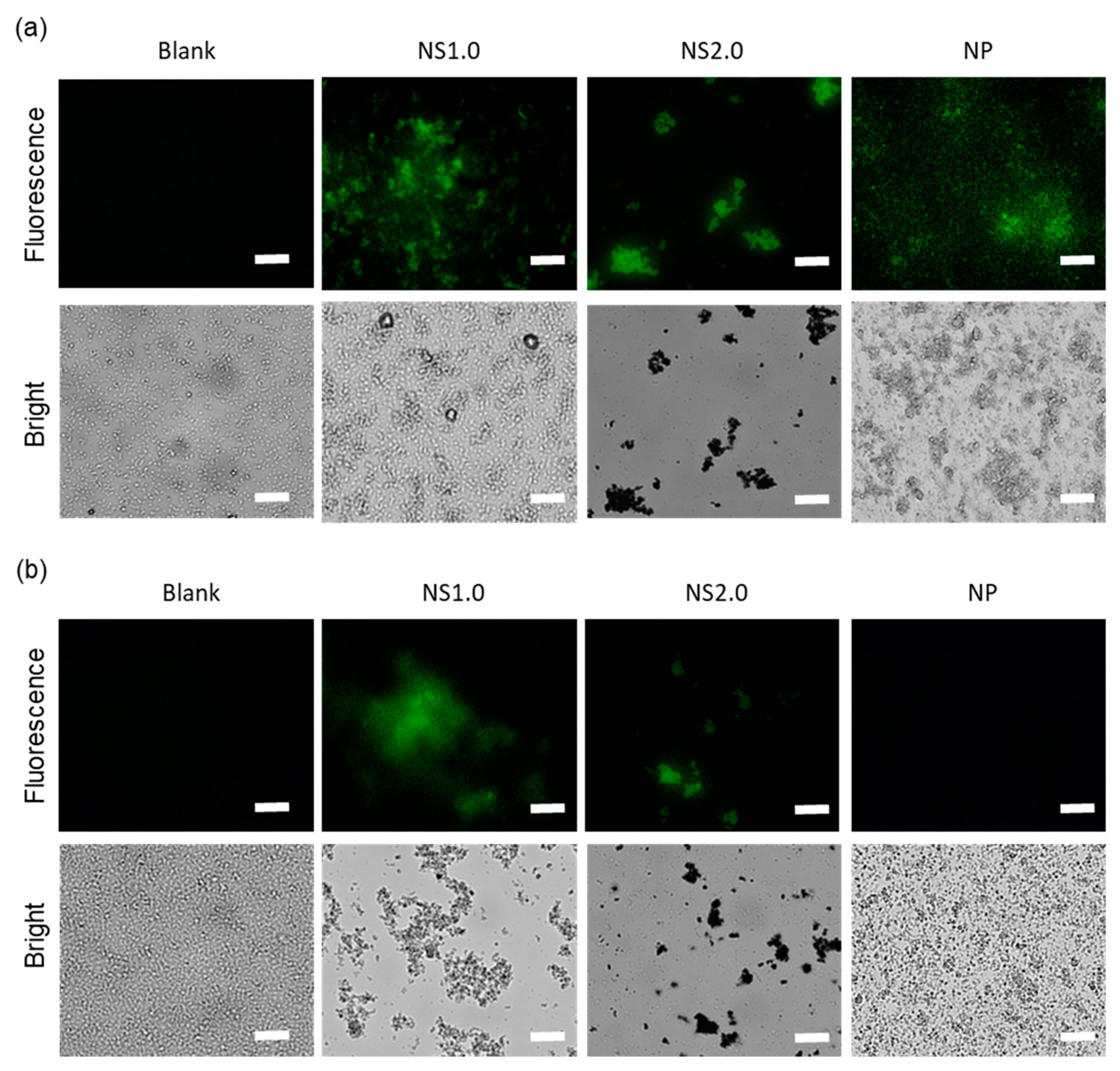 Materials 13 00078 g004