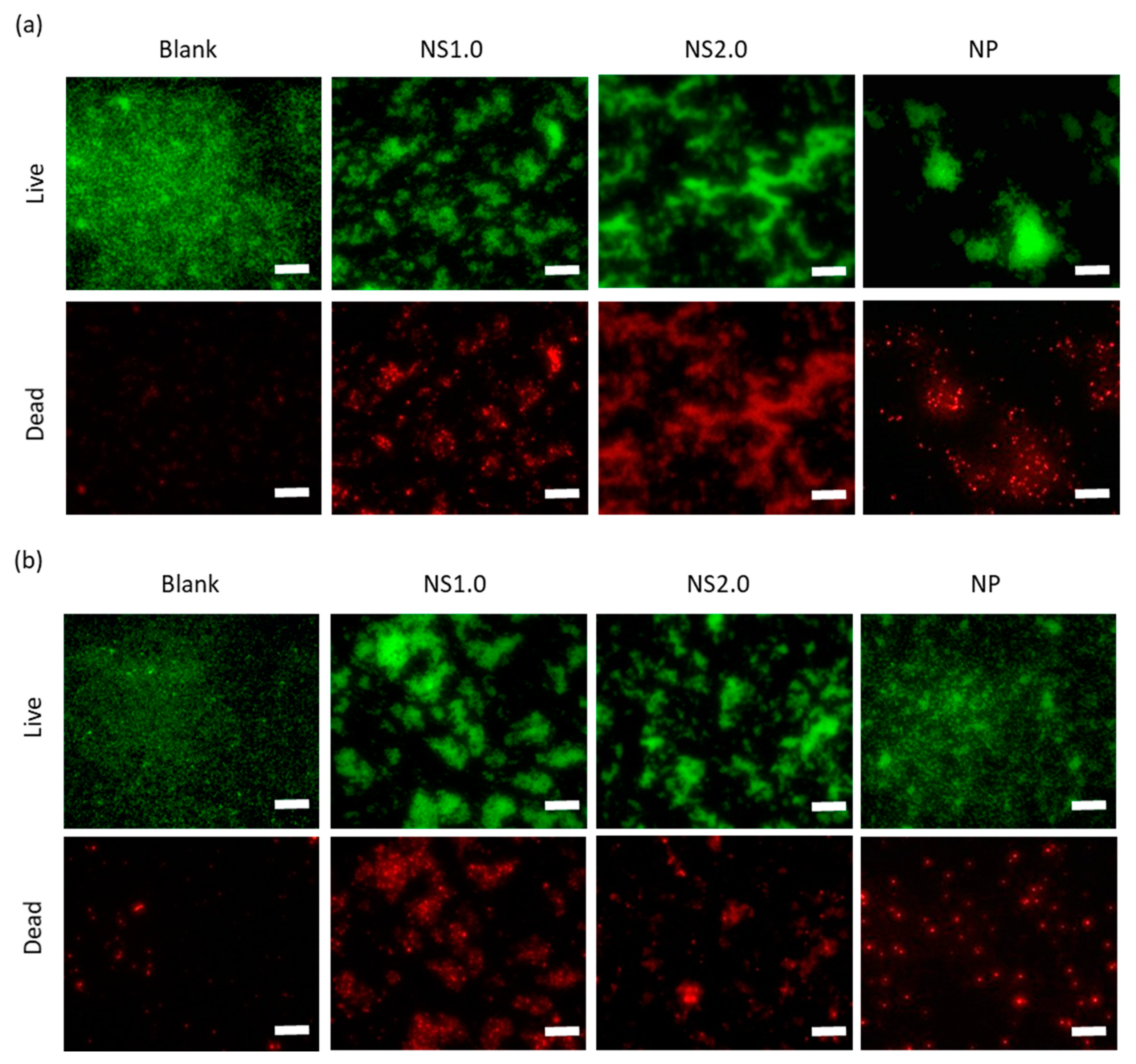 Materials 13 00078 g006