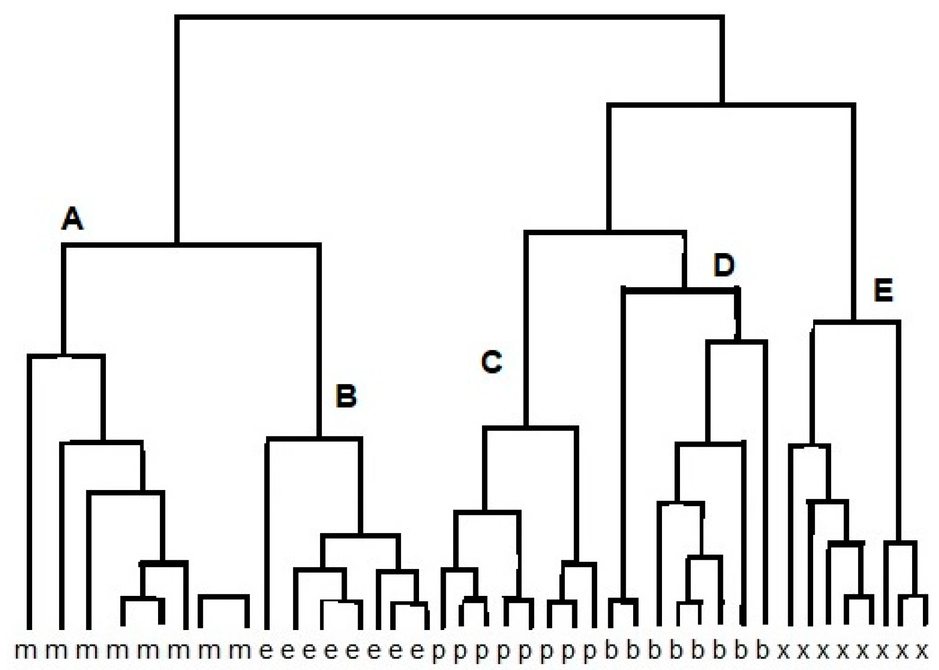 Materials 13 00080 g002