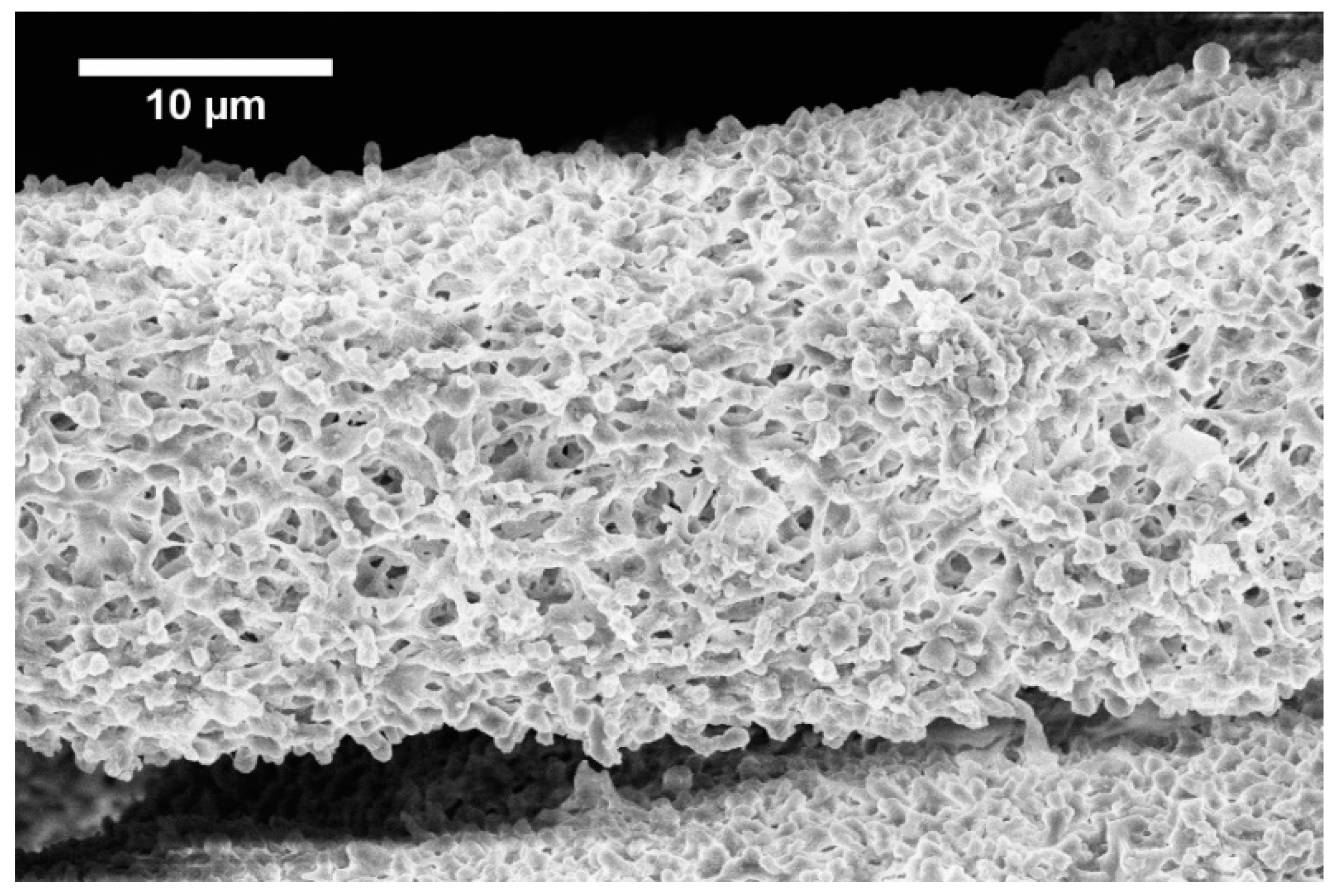 Materials 13 00086 g003