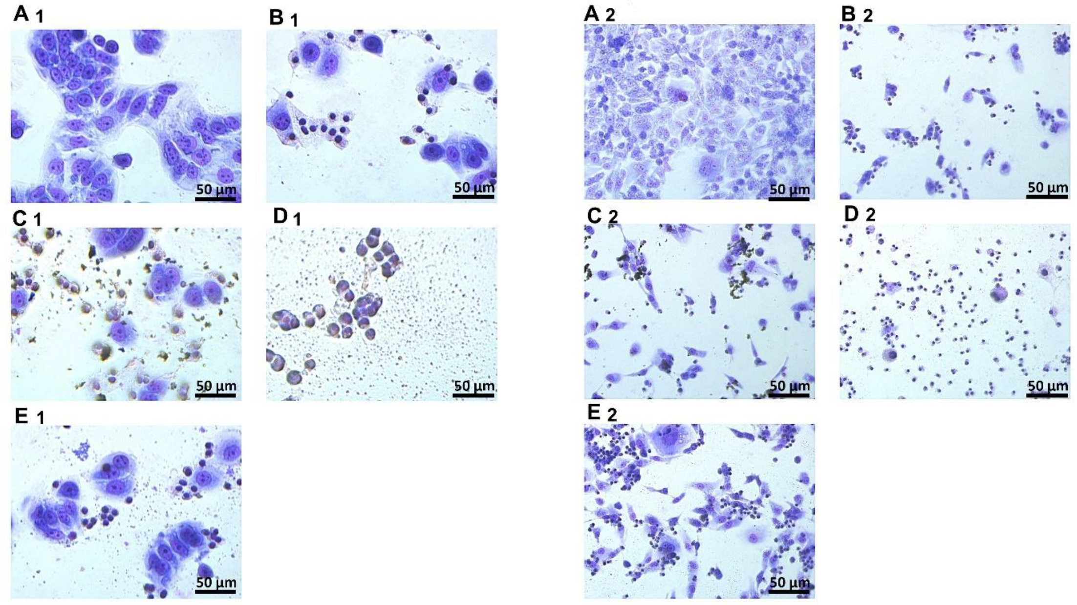 Materials 13 00090 g004