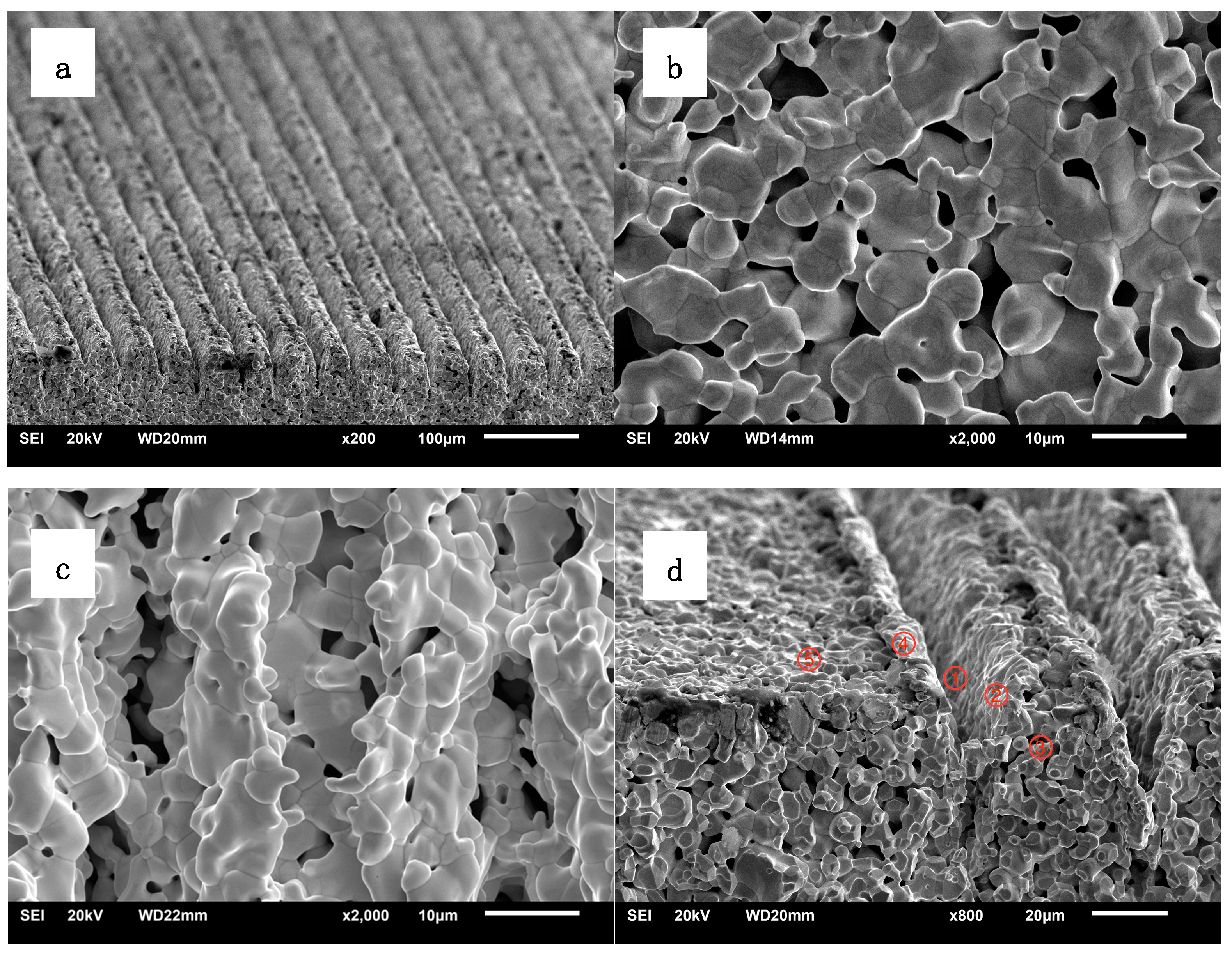 Materials 13 00100 g002