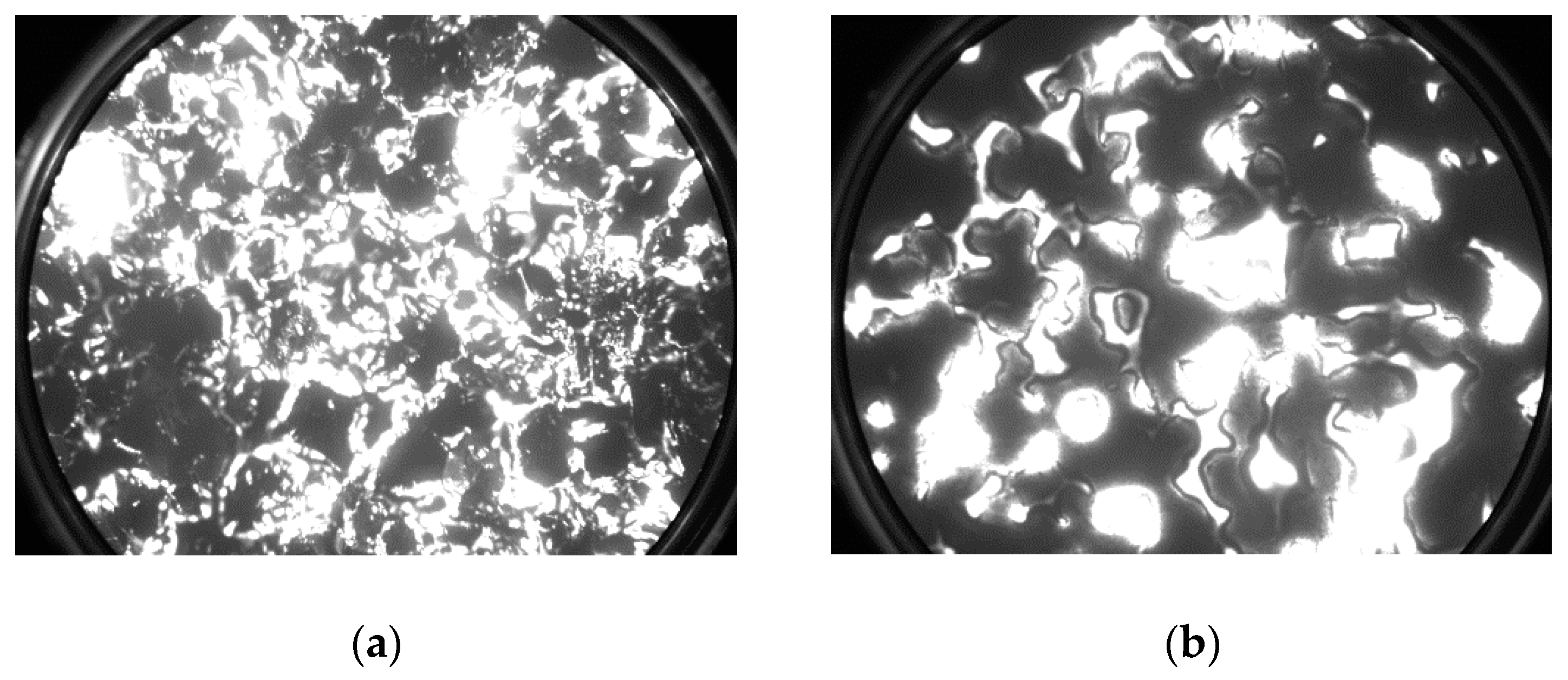 Materials 13 00100 g005