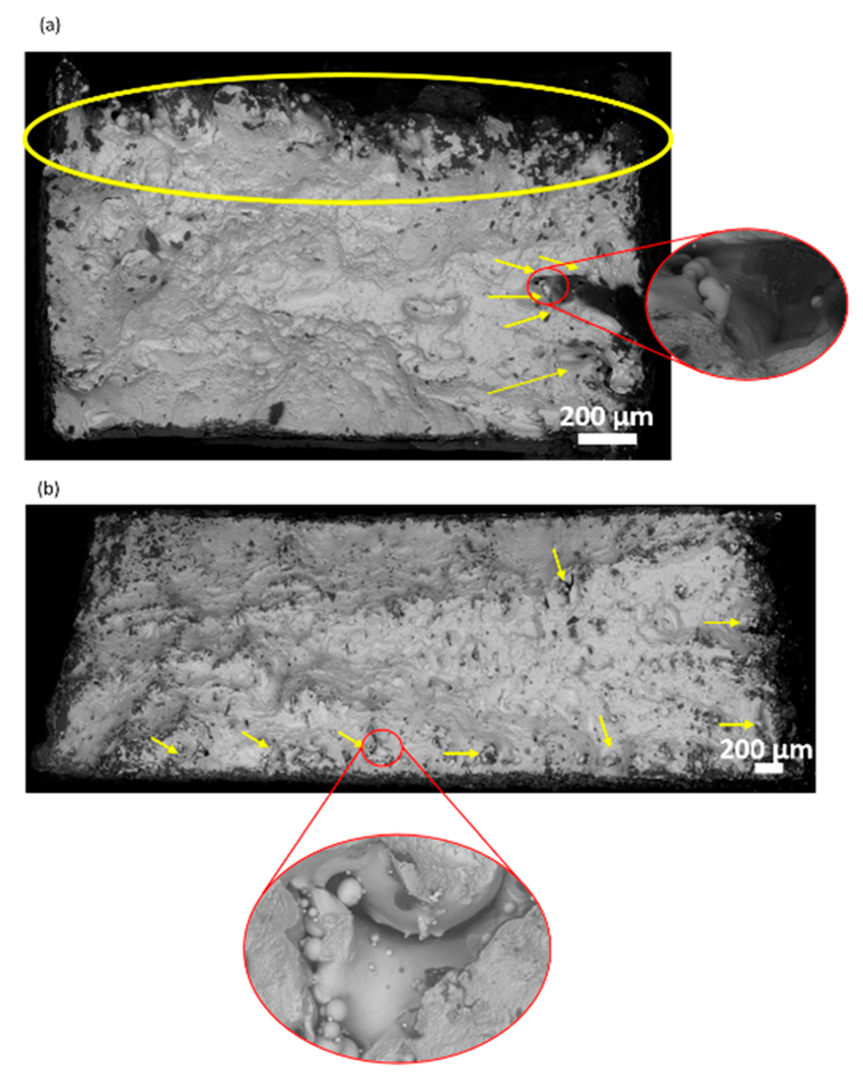 Materials 13 00117 g009