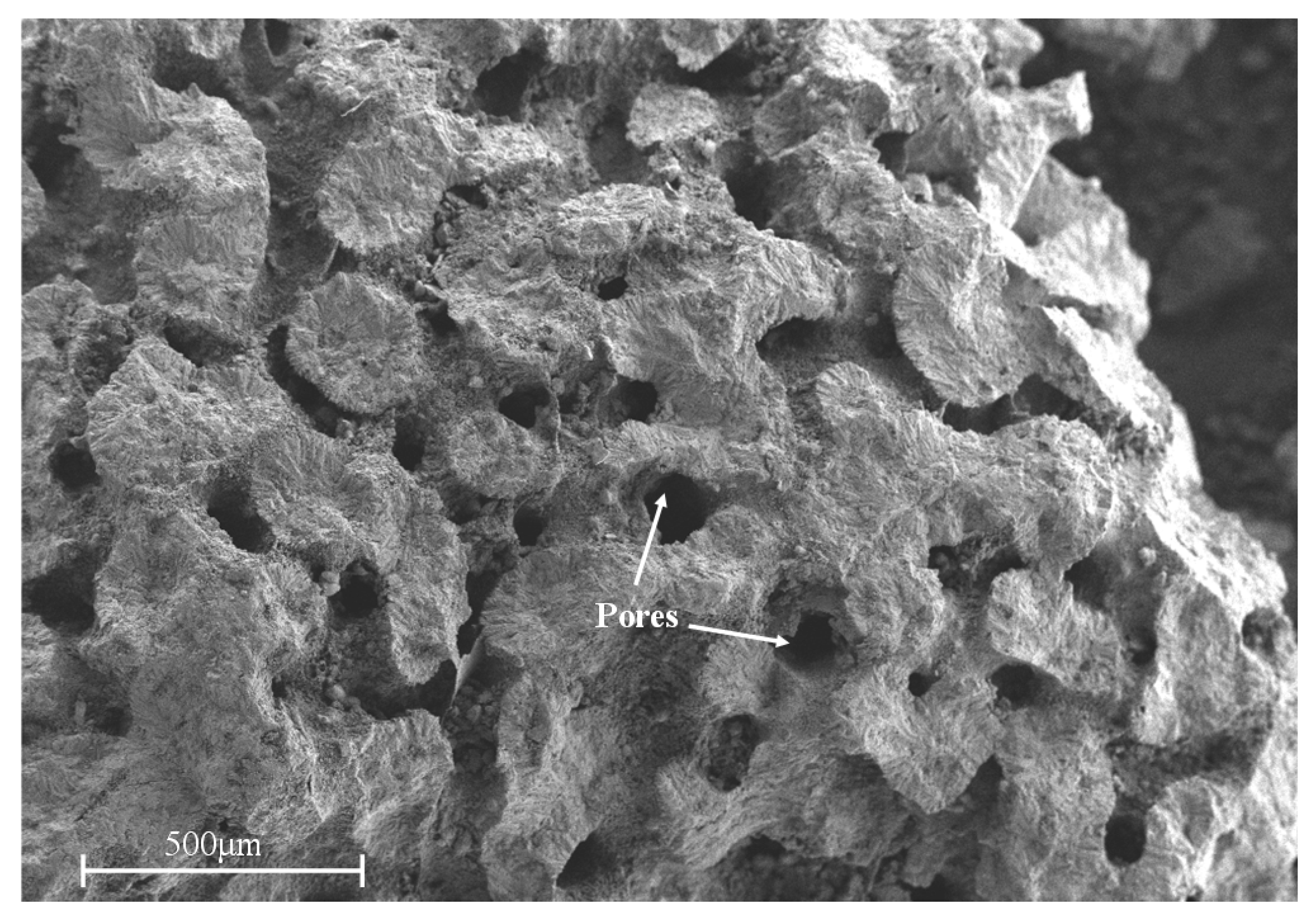 Materials 13 00118 g002