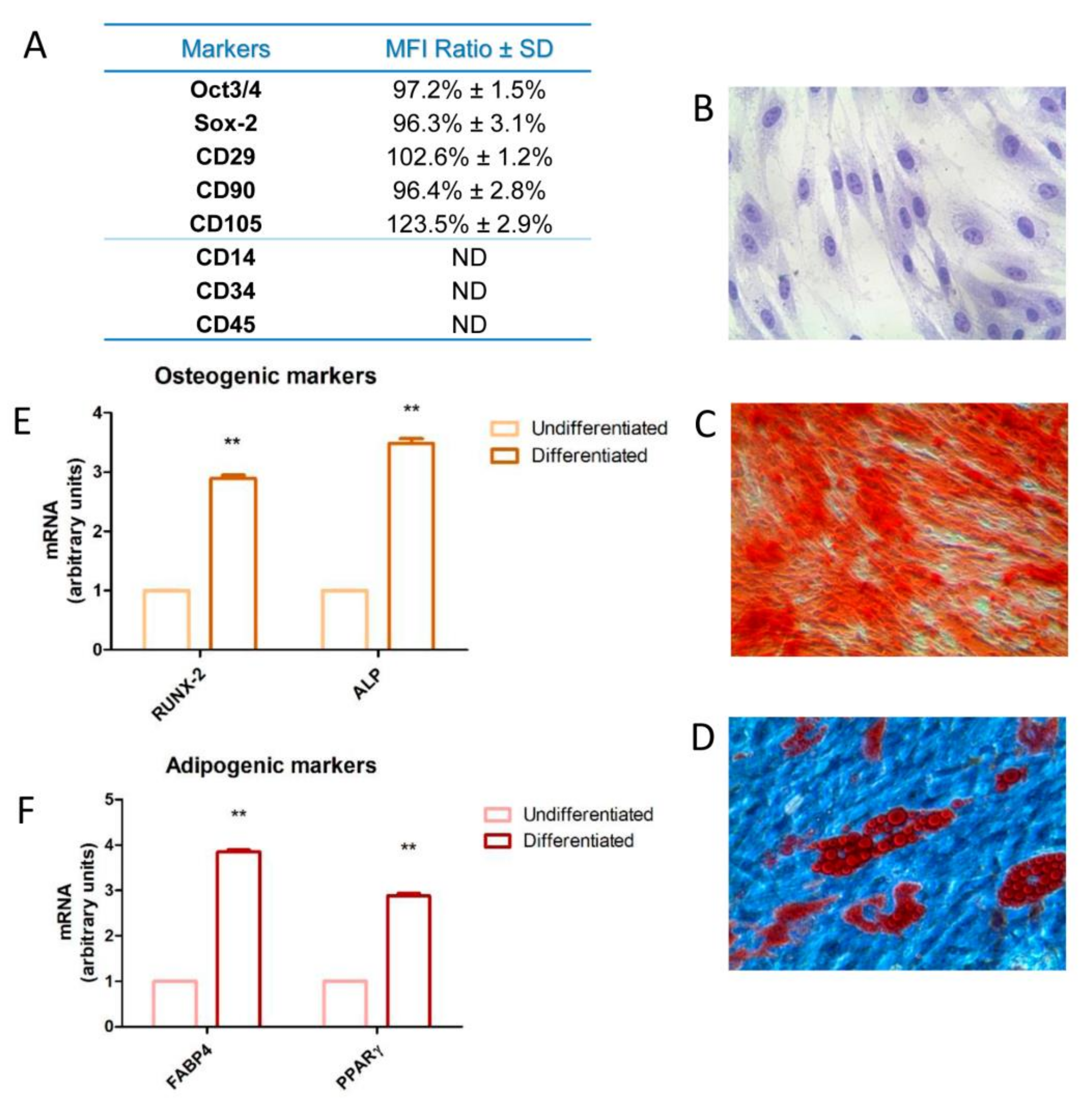 Materials 13 00130 g001