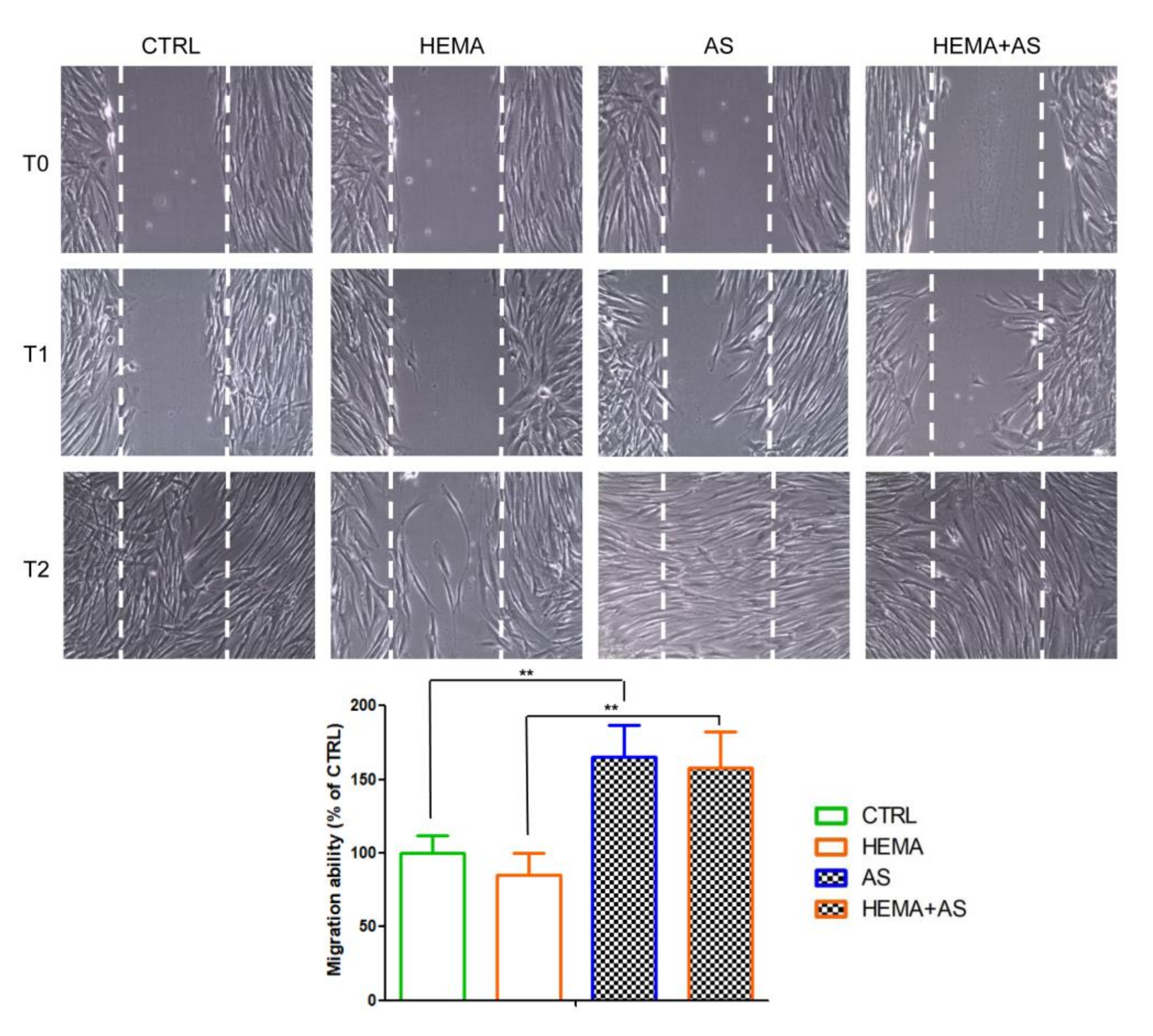 Materials 13 00130 g003