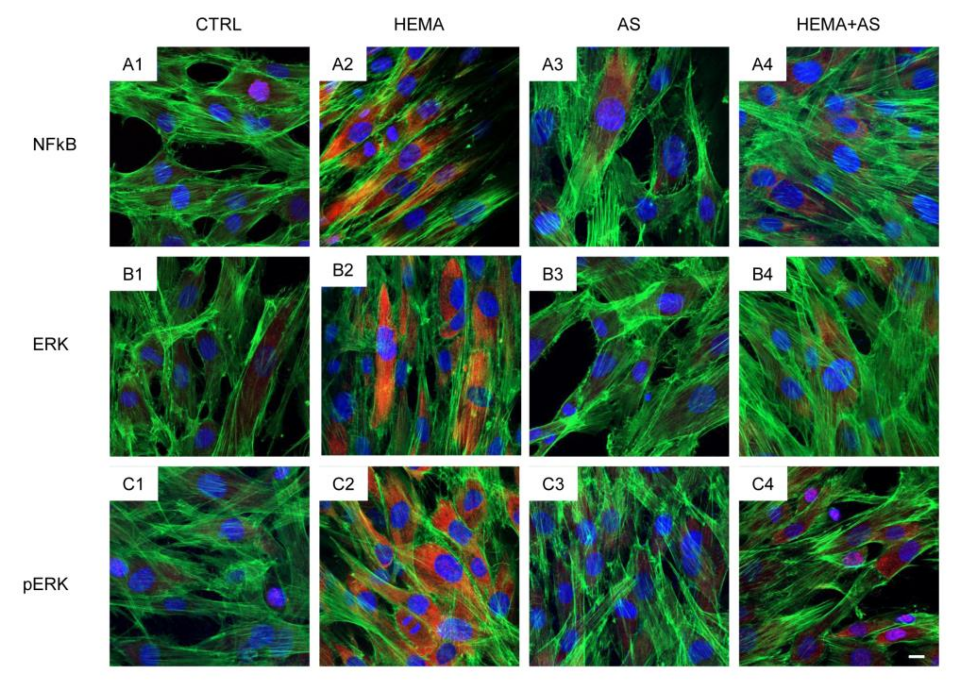 Materials 13 00130 g004