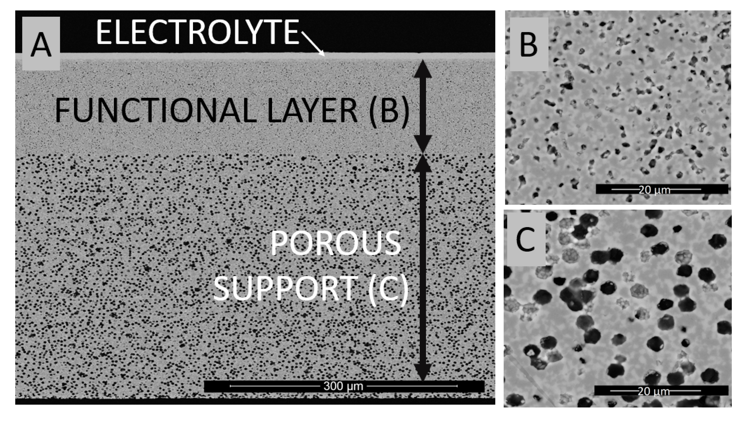 Materials 13 00131 g001