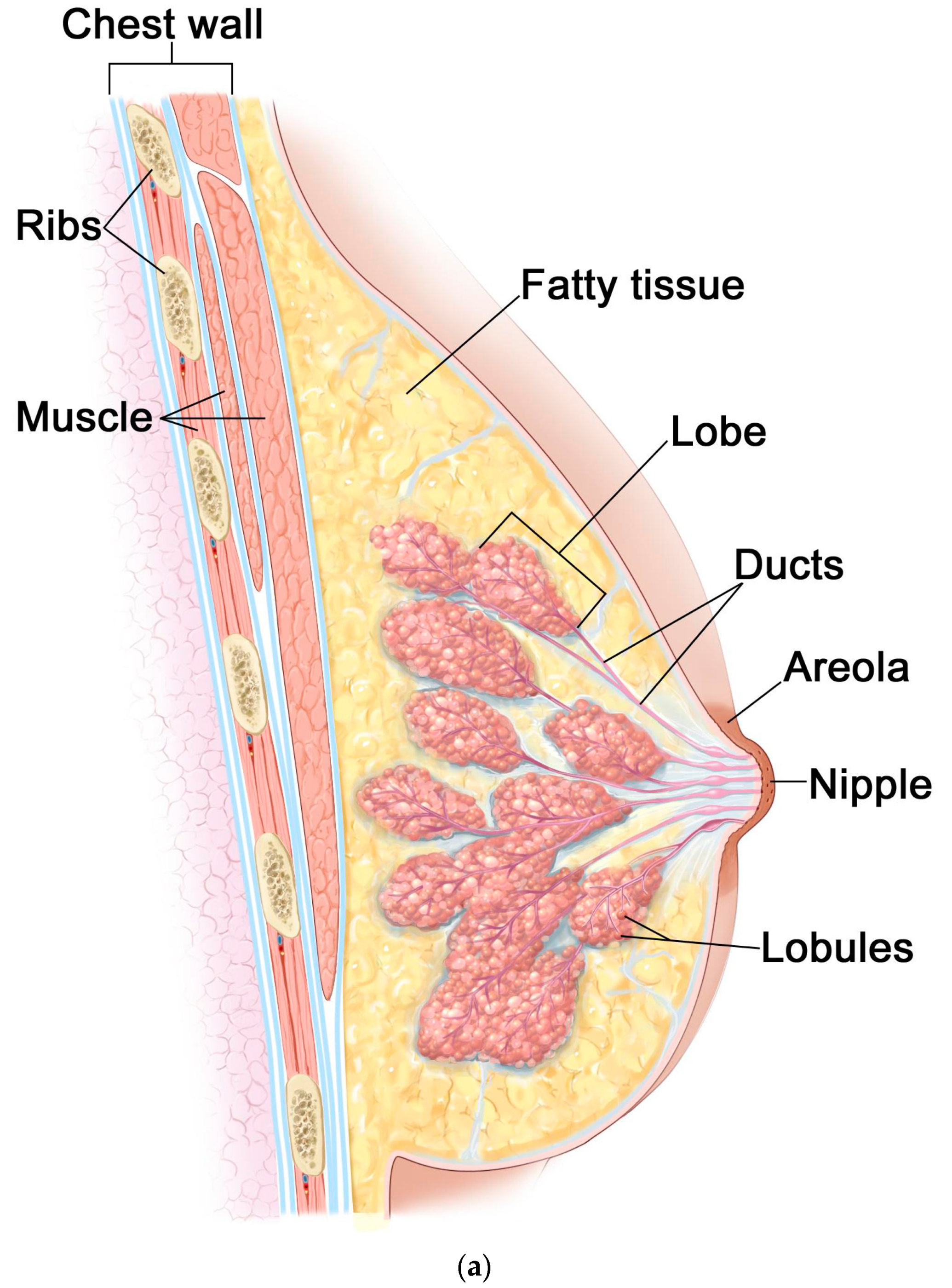Materials 13 00136 g001a