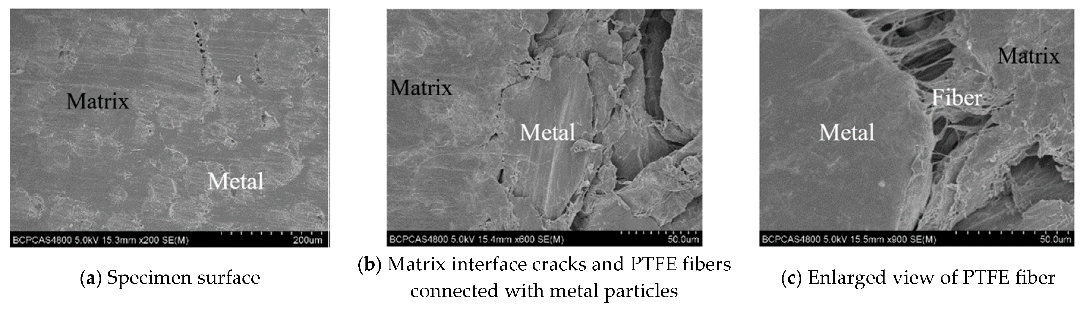 Materials 13 00140 g006