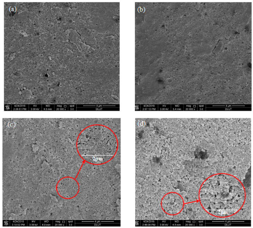 Materials 13 00146 g008