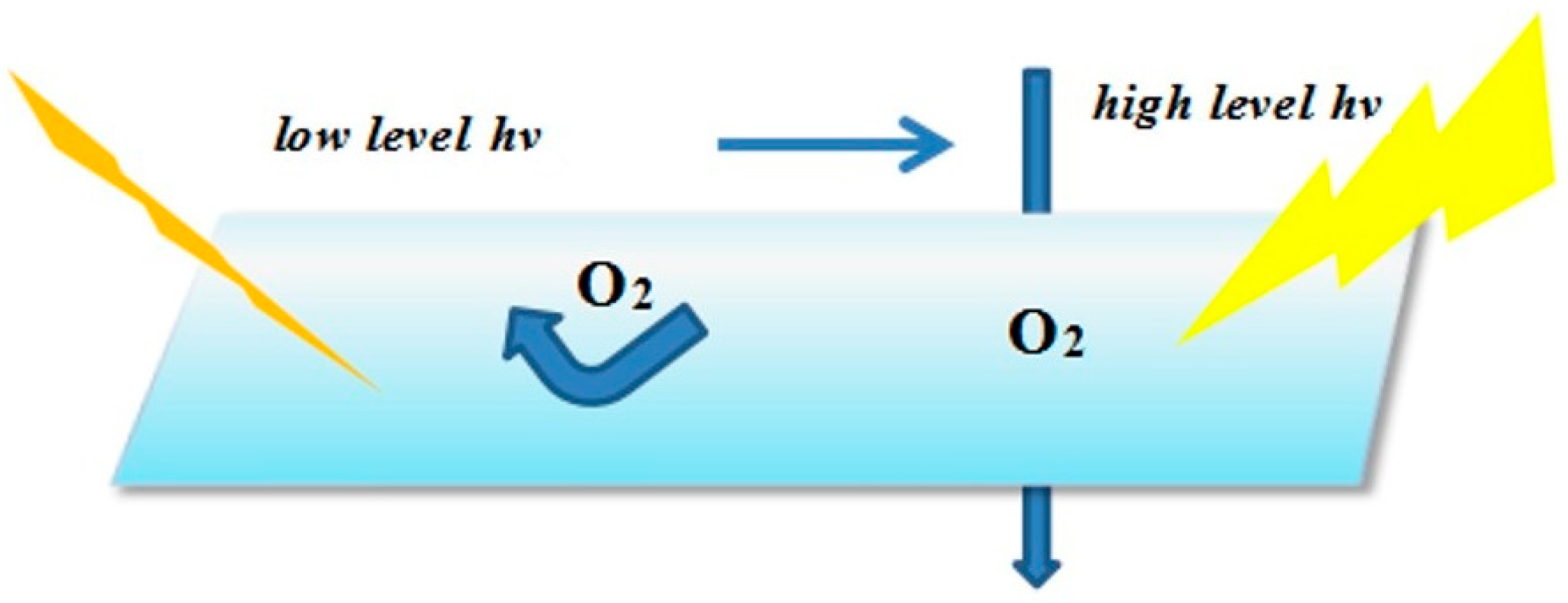Materials 13 00153 g010