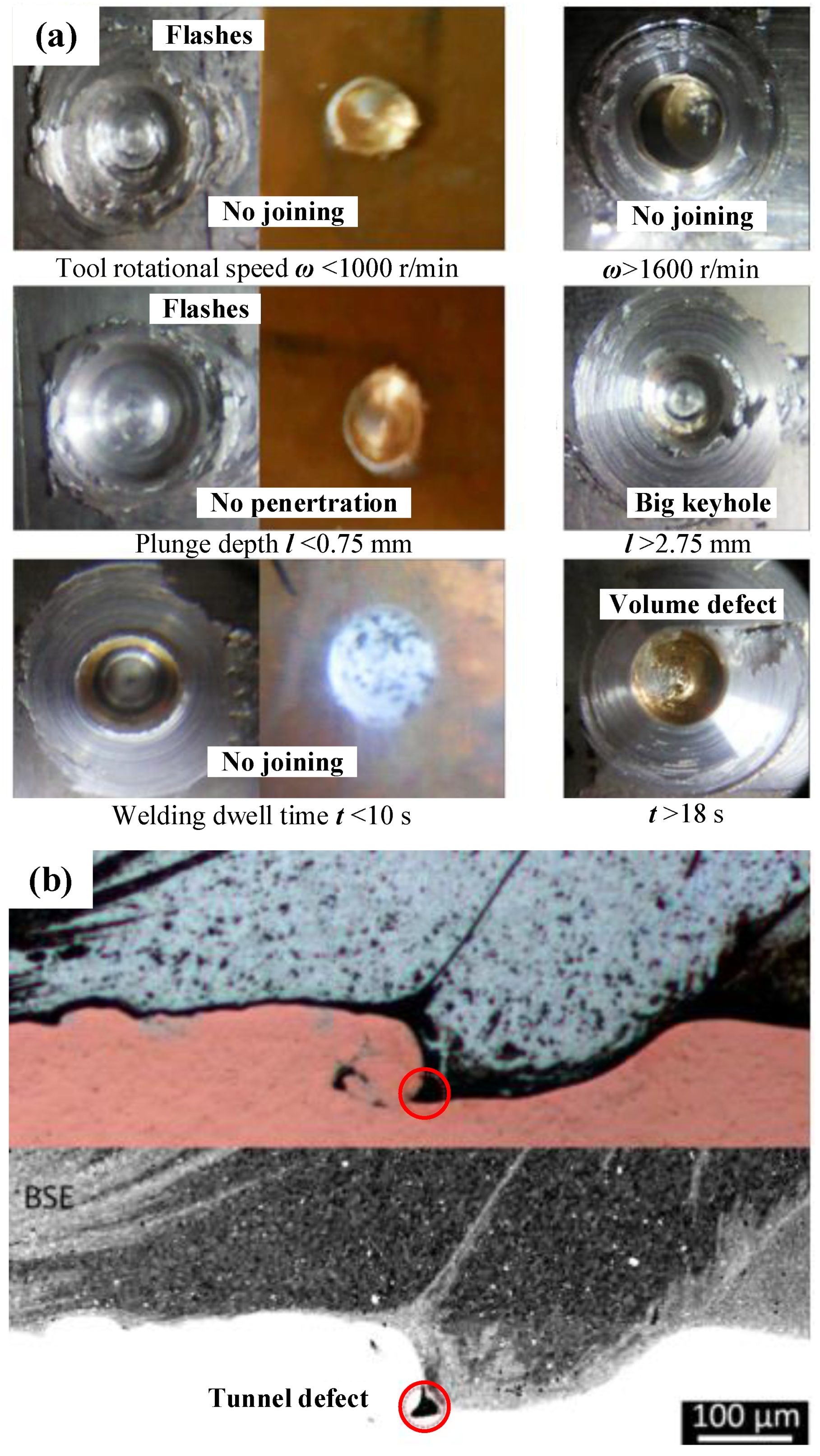 Materials 13 00156 g010