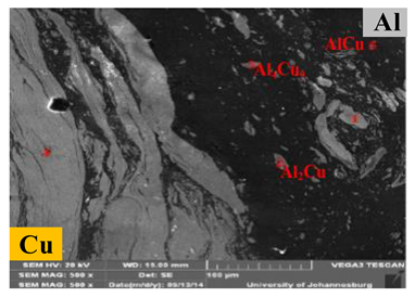 Materials 13 00156 i003