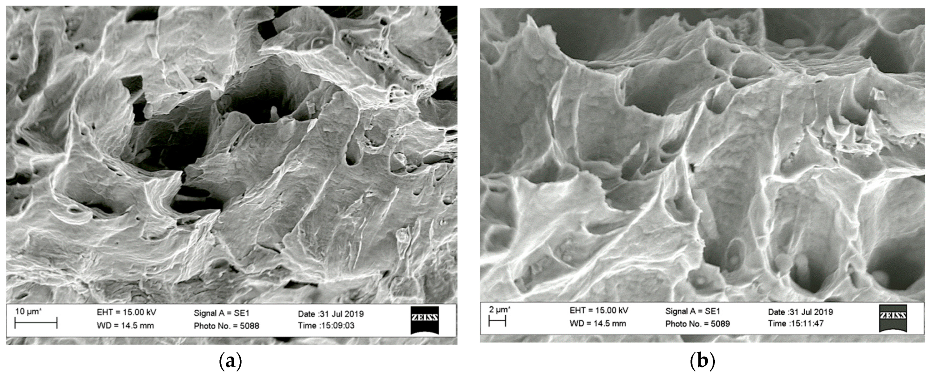 Materials 13 00160 g017