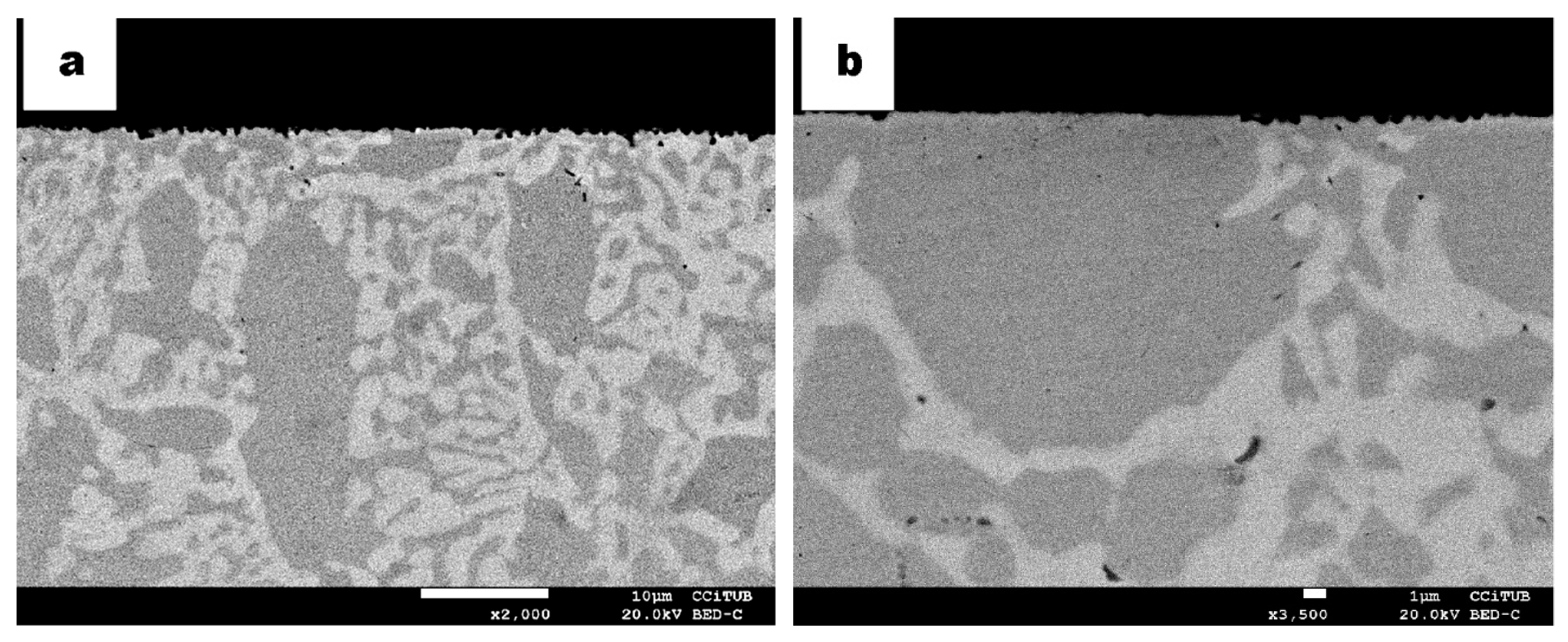 Materials 13 00165 g004