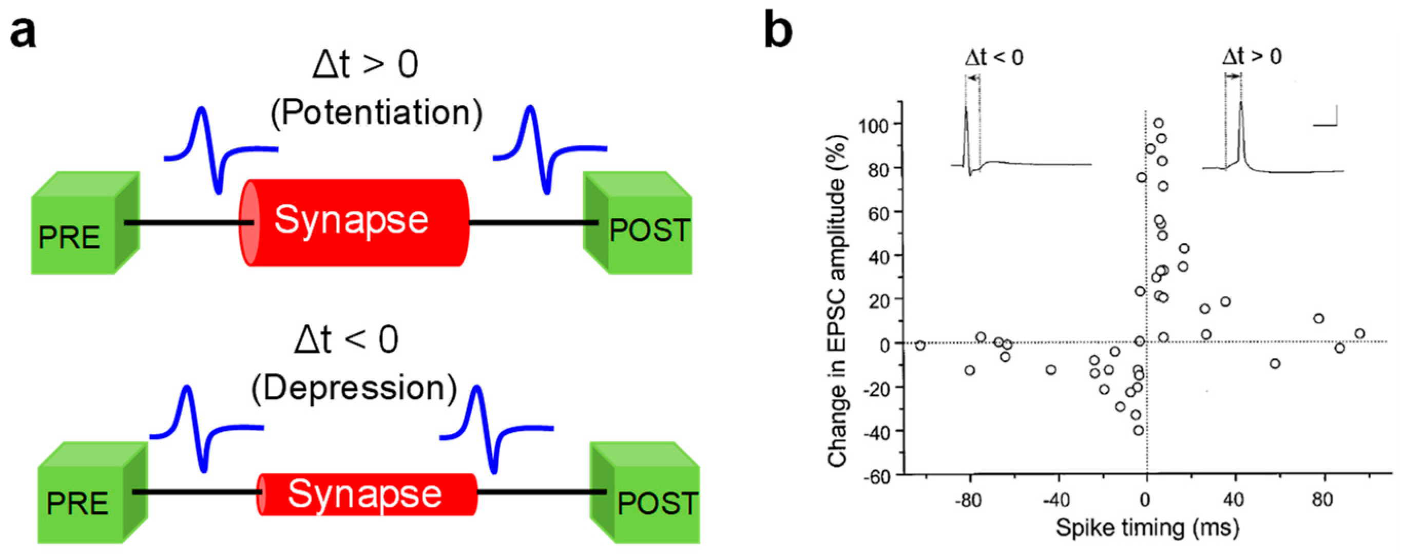 Materials 13 00166 g002