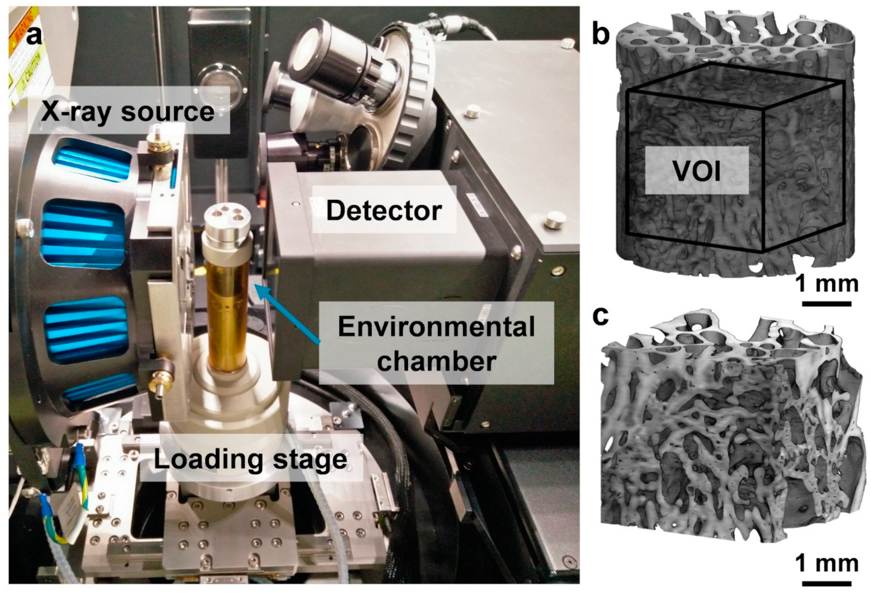 Materials 13 00168 g001