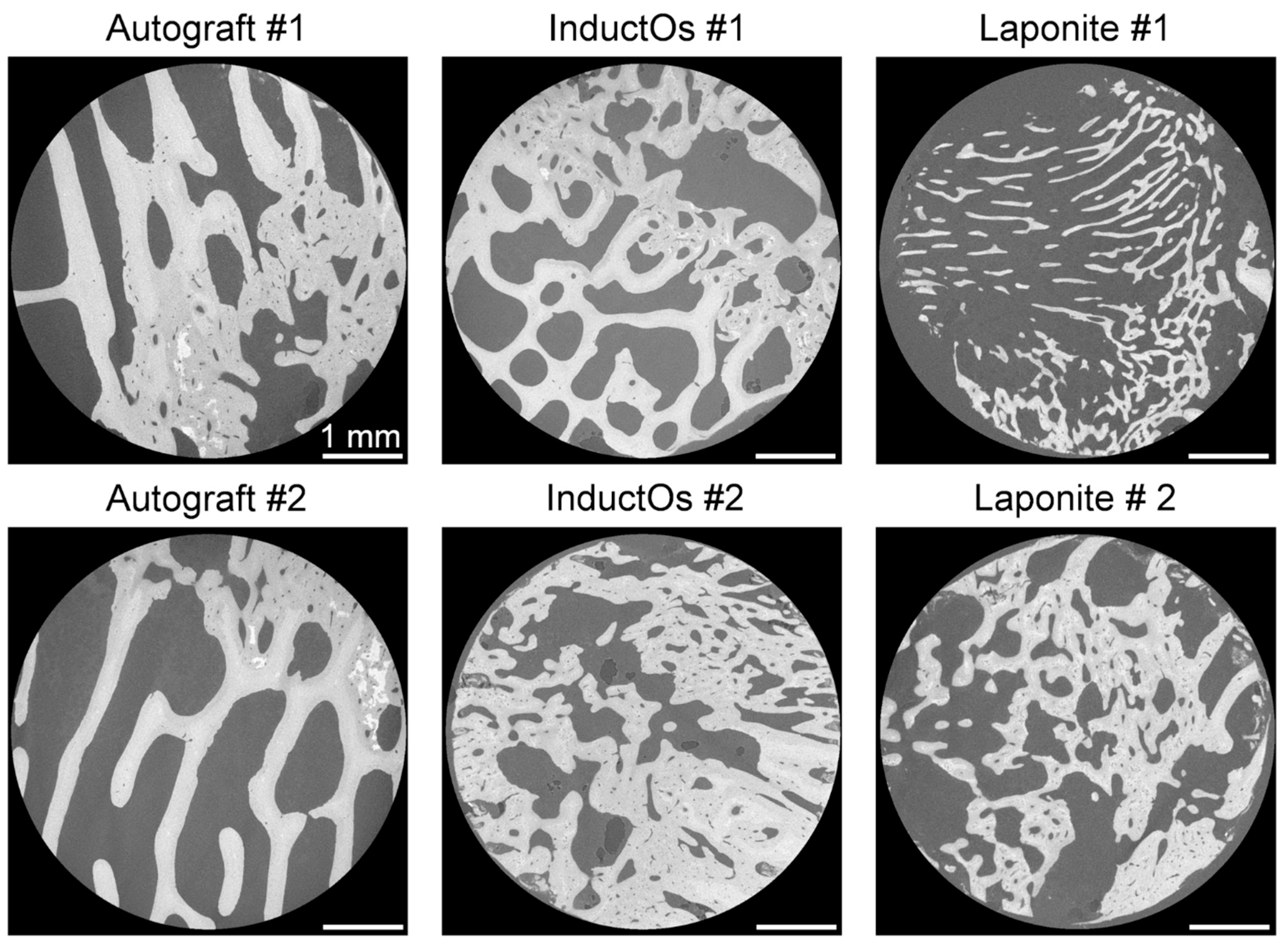 Materials 13 00168 g003