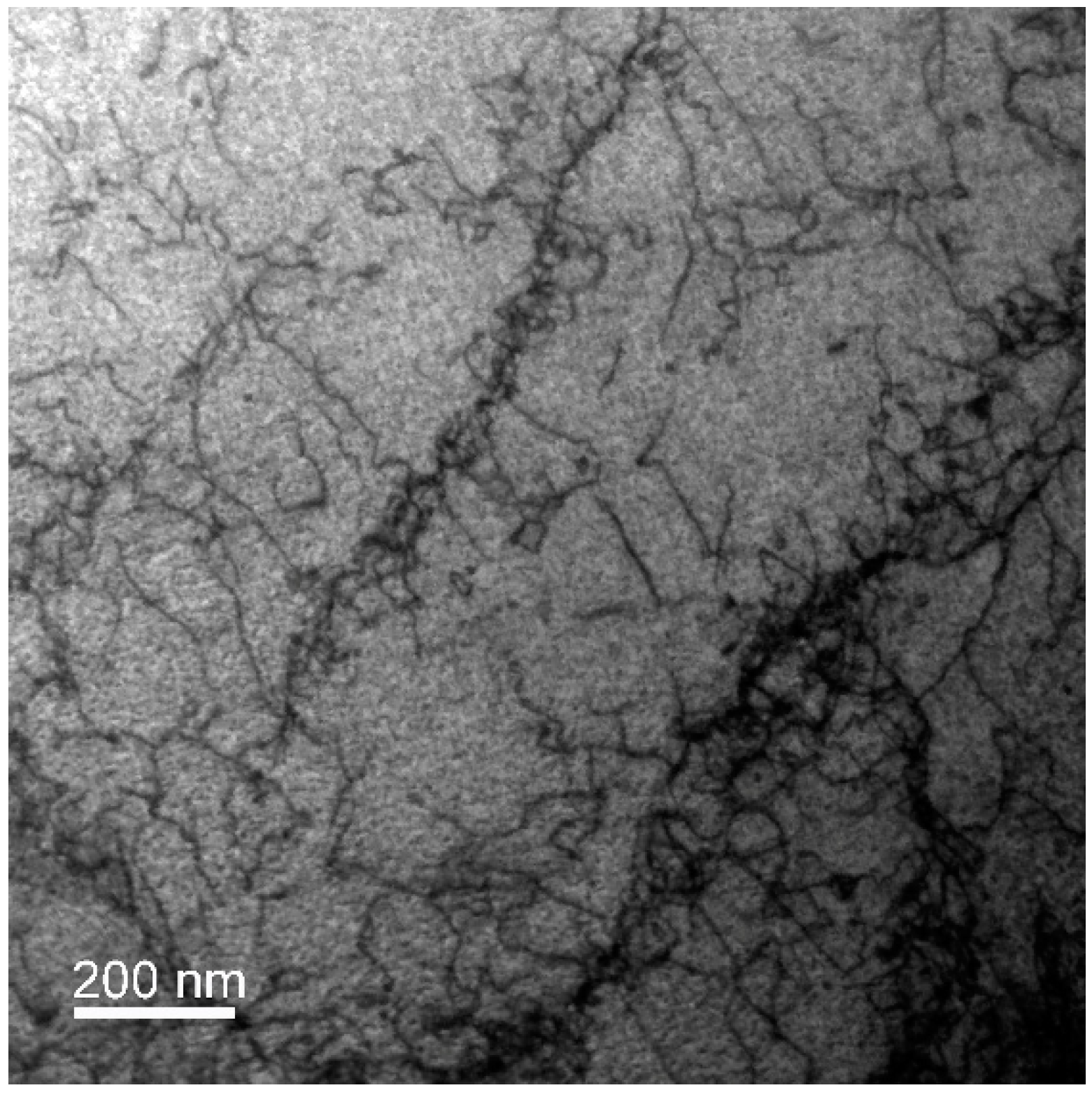 Materials 13 00208 g005