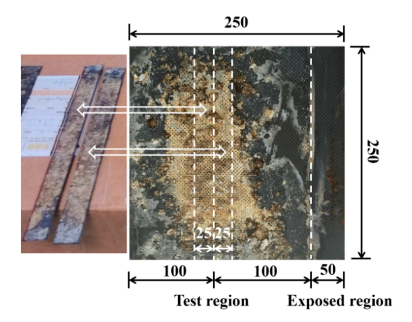 Materials 13 00222 g003 Materials 13 00222 g003